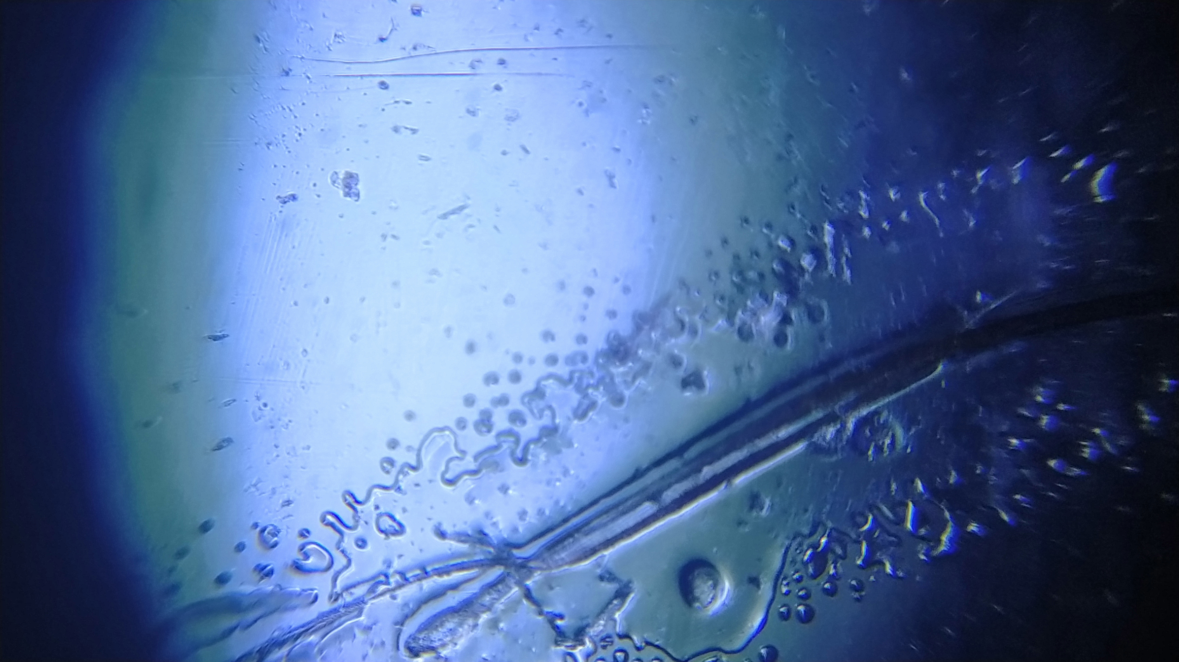 NaN%2FIMG_20240528_154622.jpg?alt=media&token=1249d9e2-eea9-4c2a-8552-c094256bfb9e