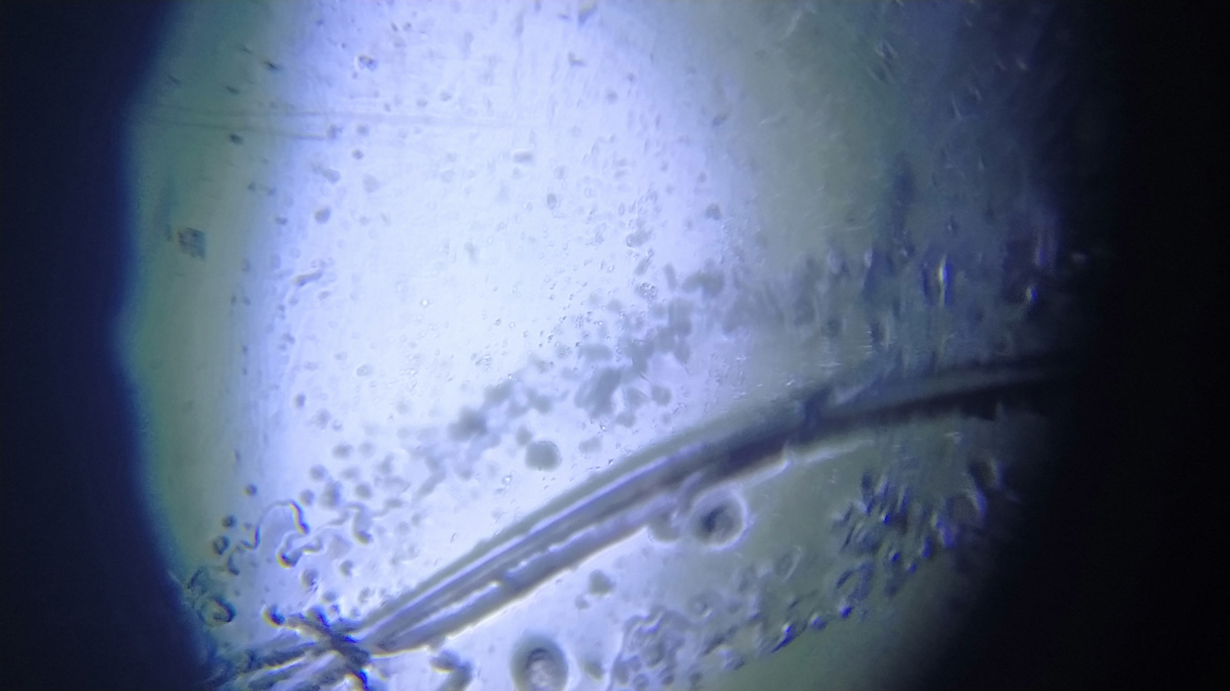 NaN%2FIMG_20240528_154900.jpg?alt=media&token=7f7c0bfe-6672-4d21-a0f6-184fd89a2591