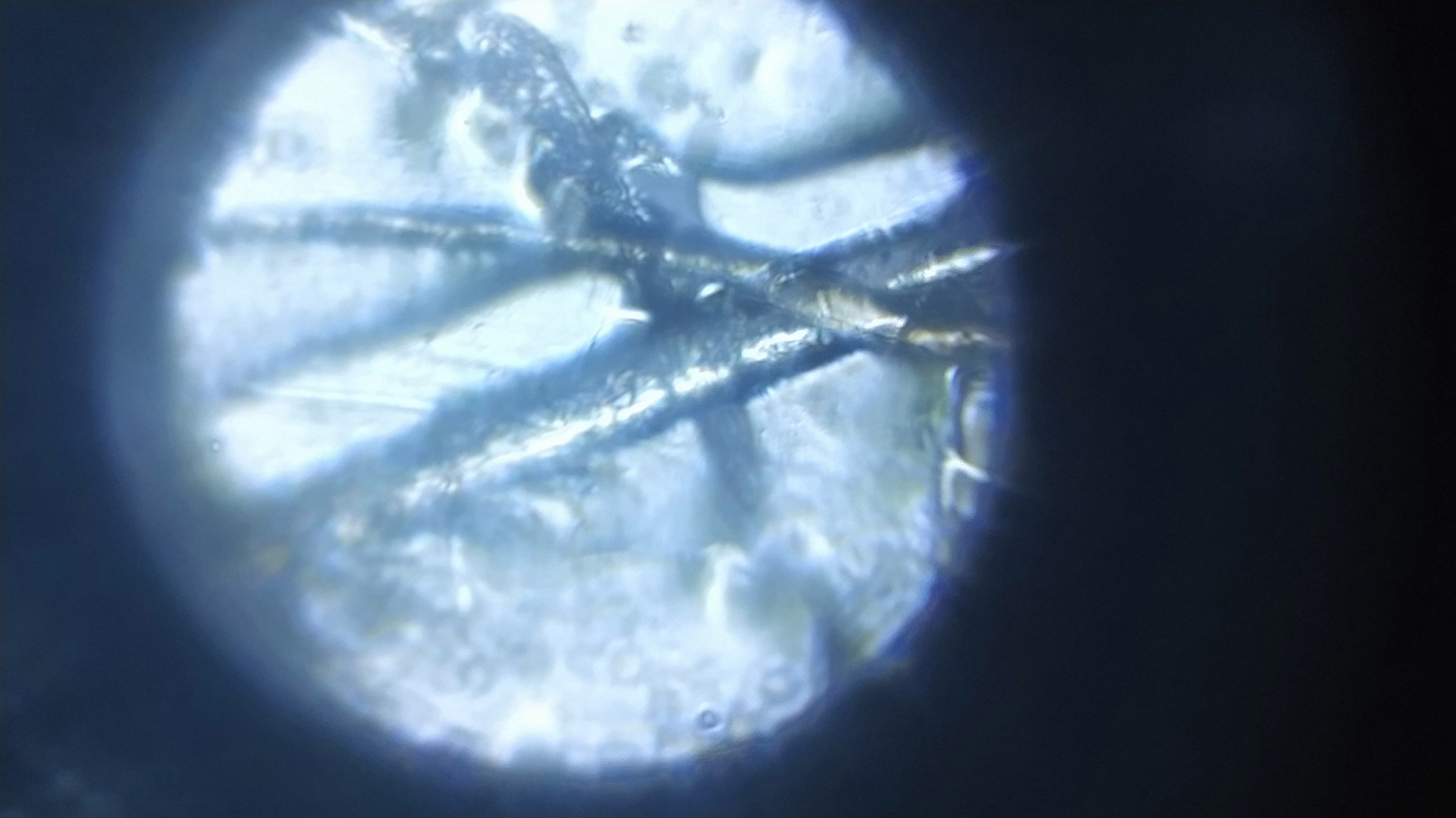 NaN%2FIMG_20240528_155850.jpg?alt=media&token=0e6f603c-bec1-4bf6-b2d8-d0b63ff520d0