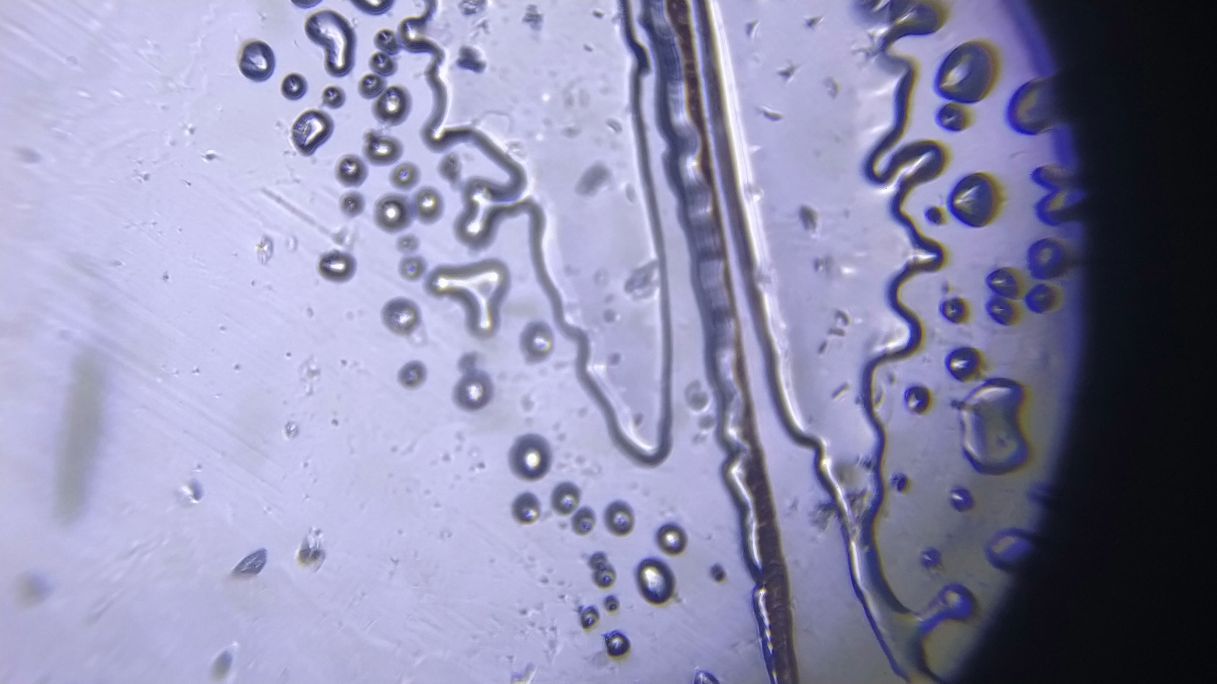 NaN%2FIMG_20240528_155932.jpg?alt=media&token=45dd777e-dc95-4884-943f-dafe415a5ef5