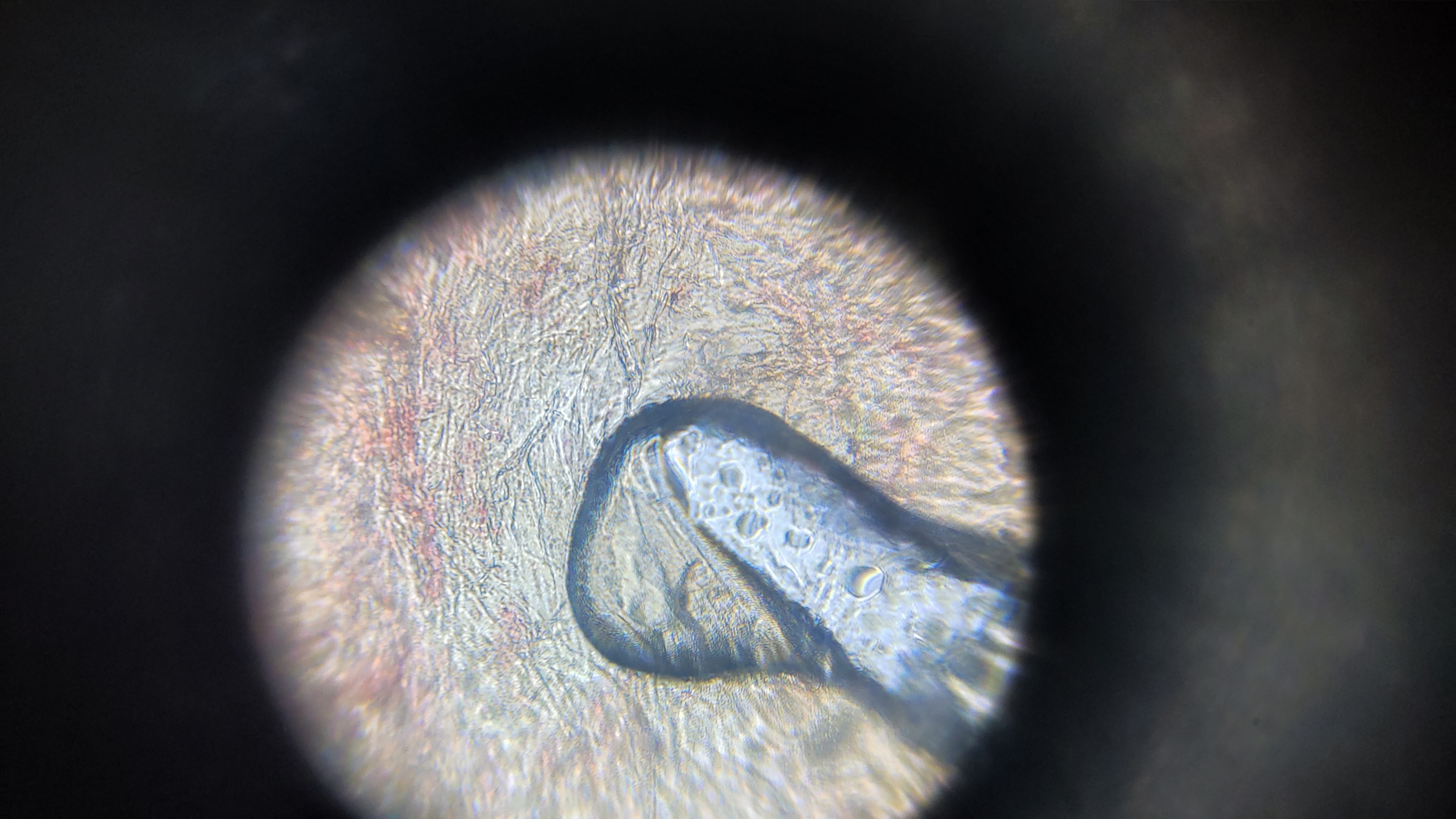 NaN%2FIMG_20240529_173224.jpg?alt=media&token=e44e1c66-5771-487f-aea0-d6246ec27d20