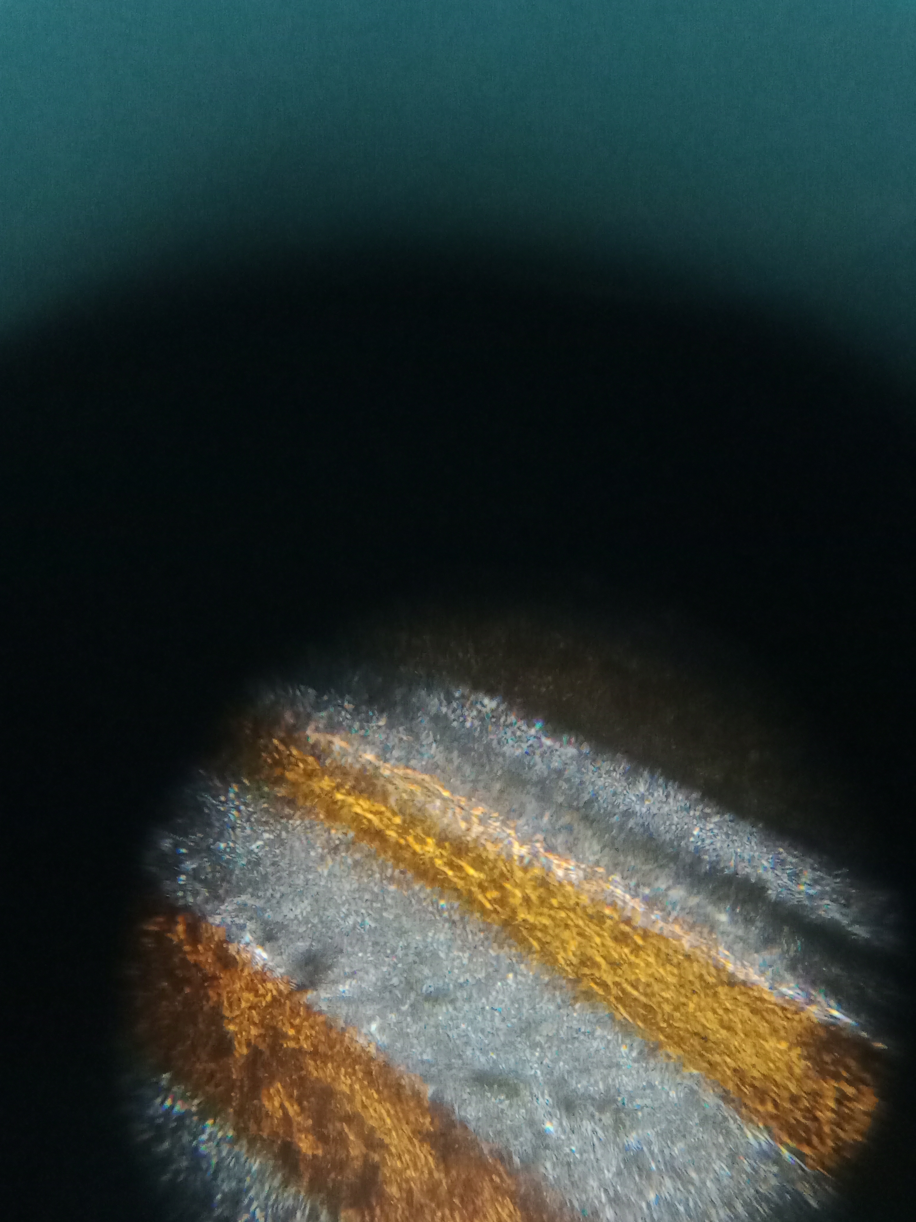 NaN%2FIMG_20240702_184700.jpg?alt=media&token=0326b858-572e-40b5-af10-e1679e37eaa2