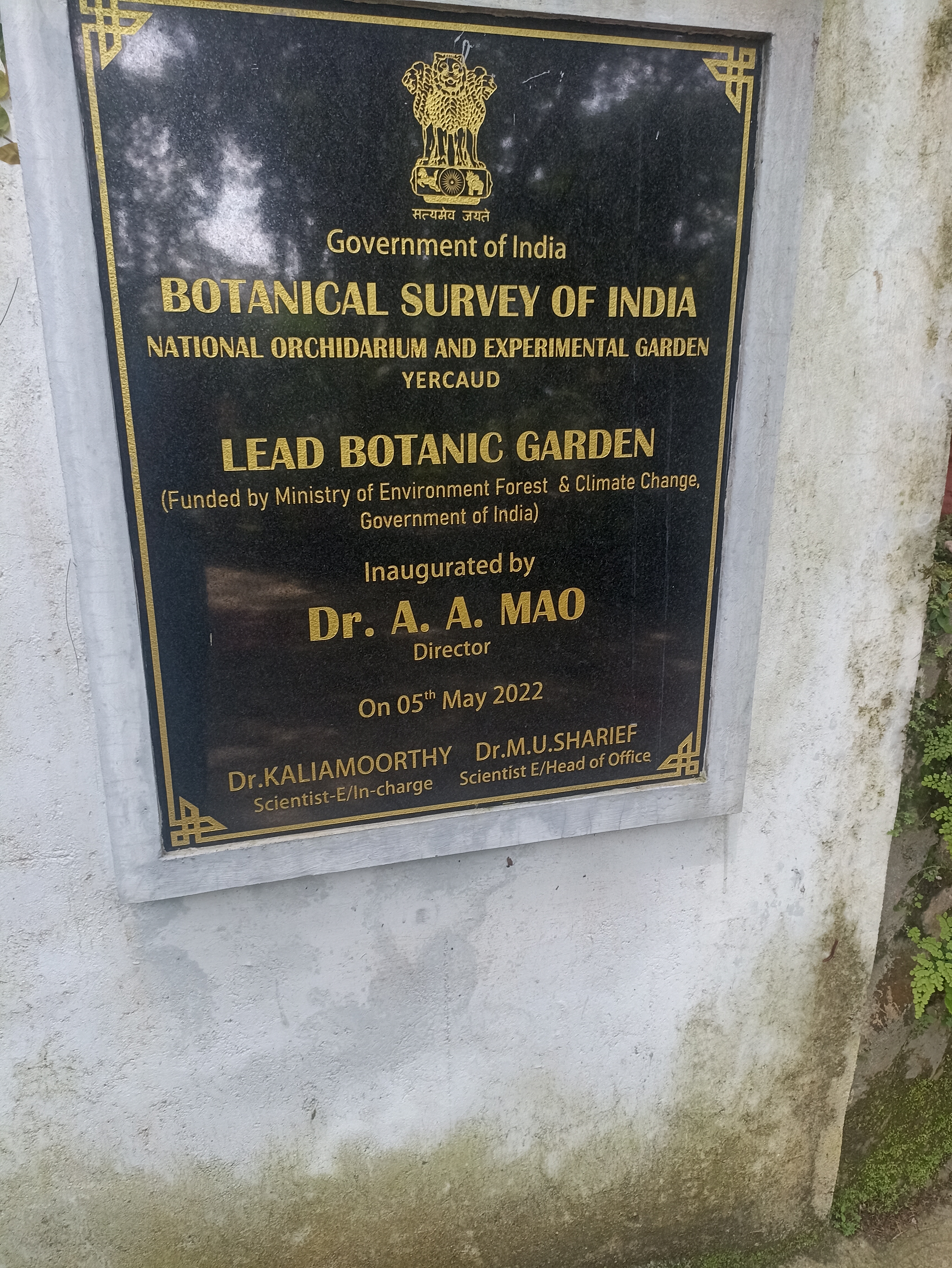 NaN%2FIMG_20240705_135343.jpg?alt=media&token=7526455f-84c1-4a7c-958b-19b09ca43a32