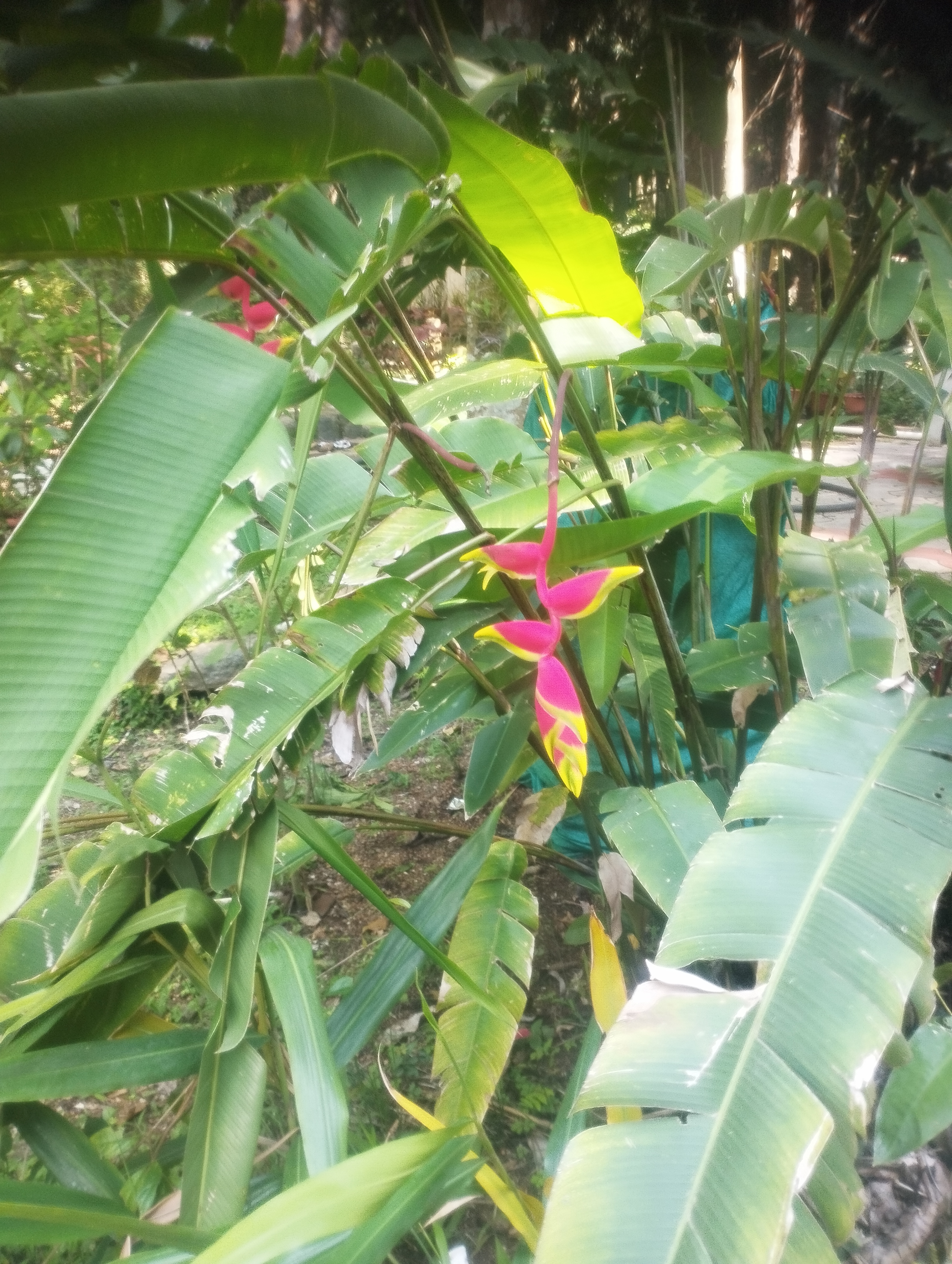 NaN%2FIMG_20240705_150705.jpg?alt=media&token=822249fe-8955-4346-b740-39e4dd069688