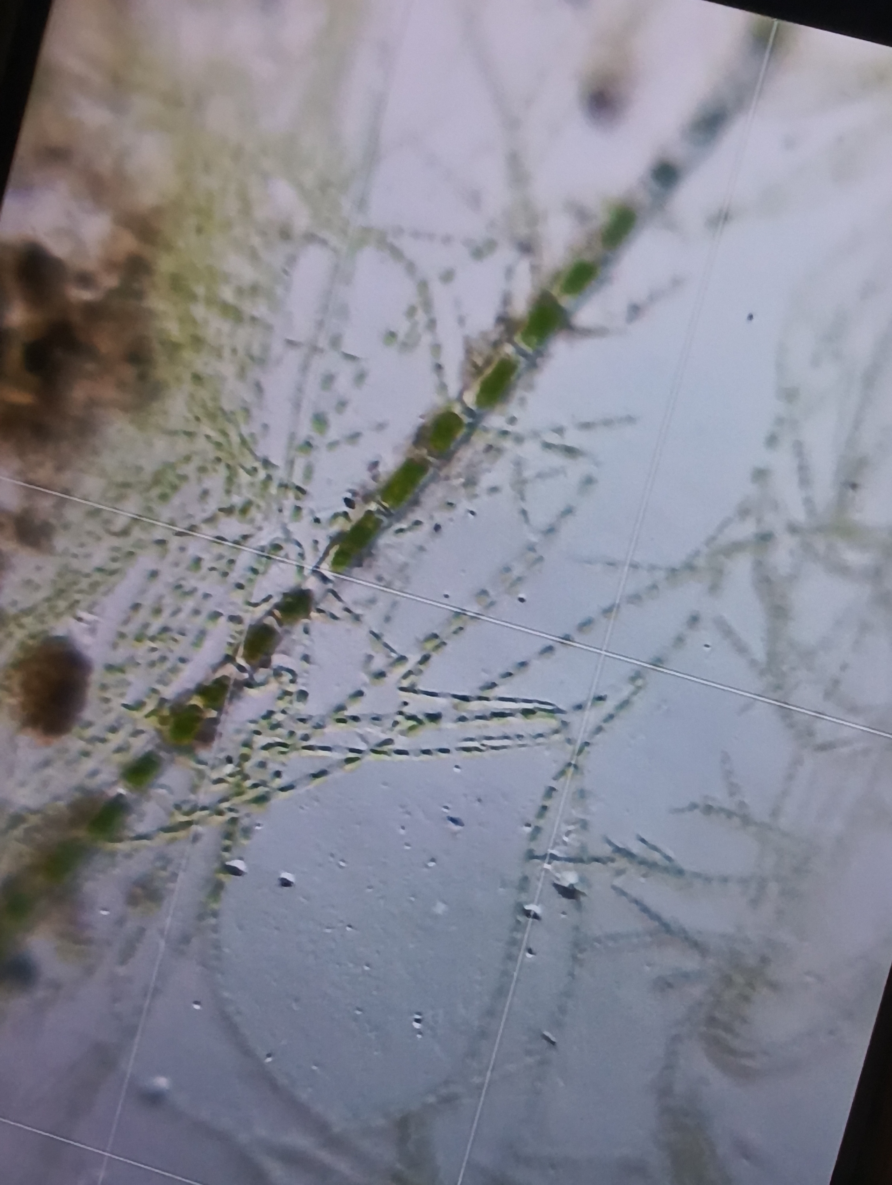 NaN%2FIMG_20240705_175303.jpg?alt=media&token=8d0019d4-1d30-45bd-9903-e2da9daa8ee8