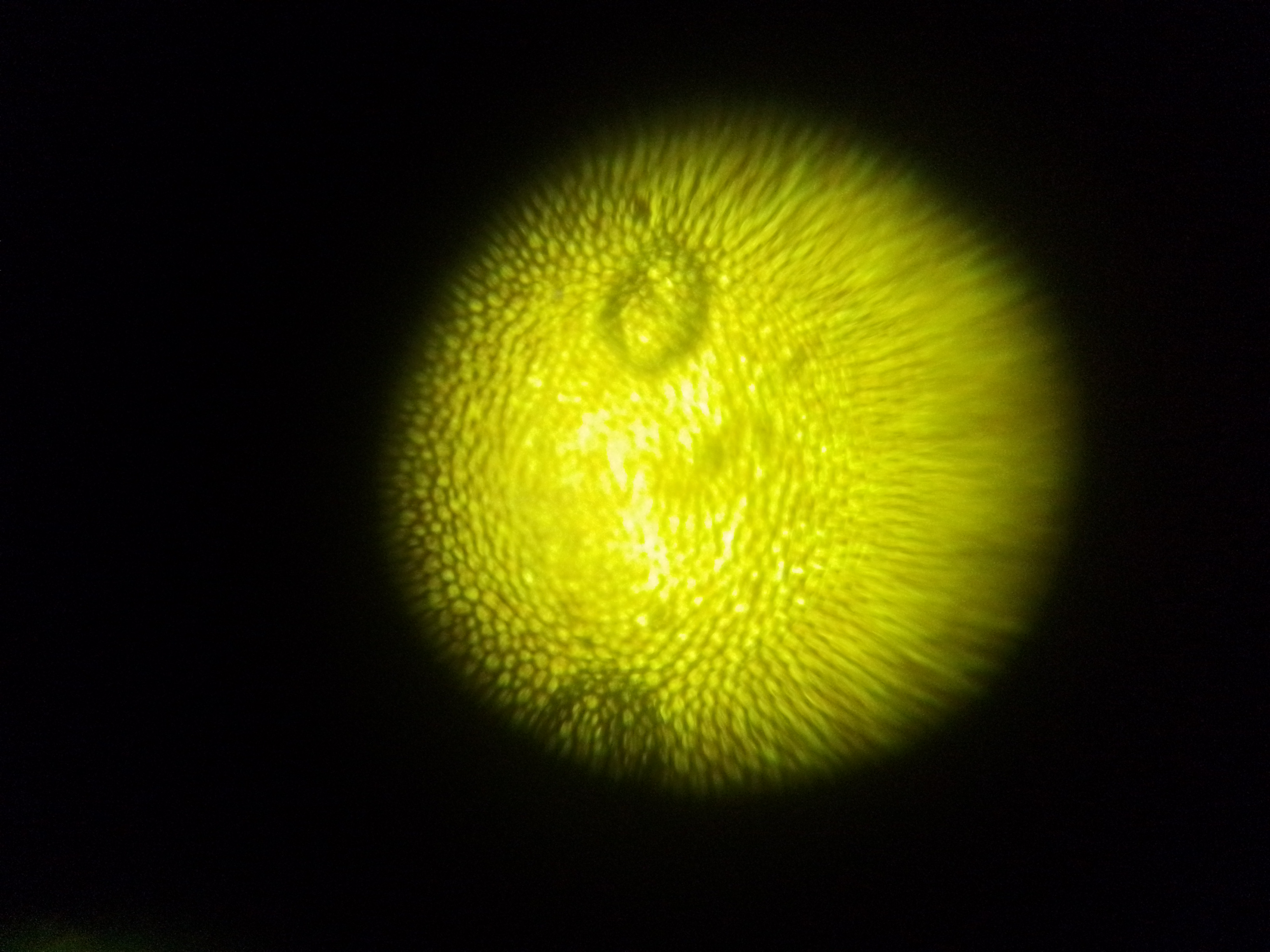 NaN%2FIMG_20240708_211745.jpg?alt=media&token=889b60db-8914-449d-af14-197a82ae6c90