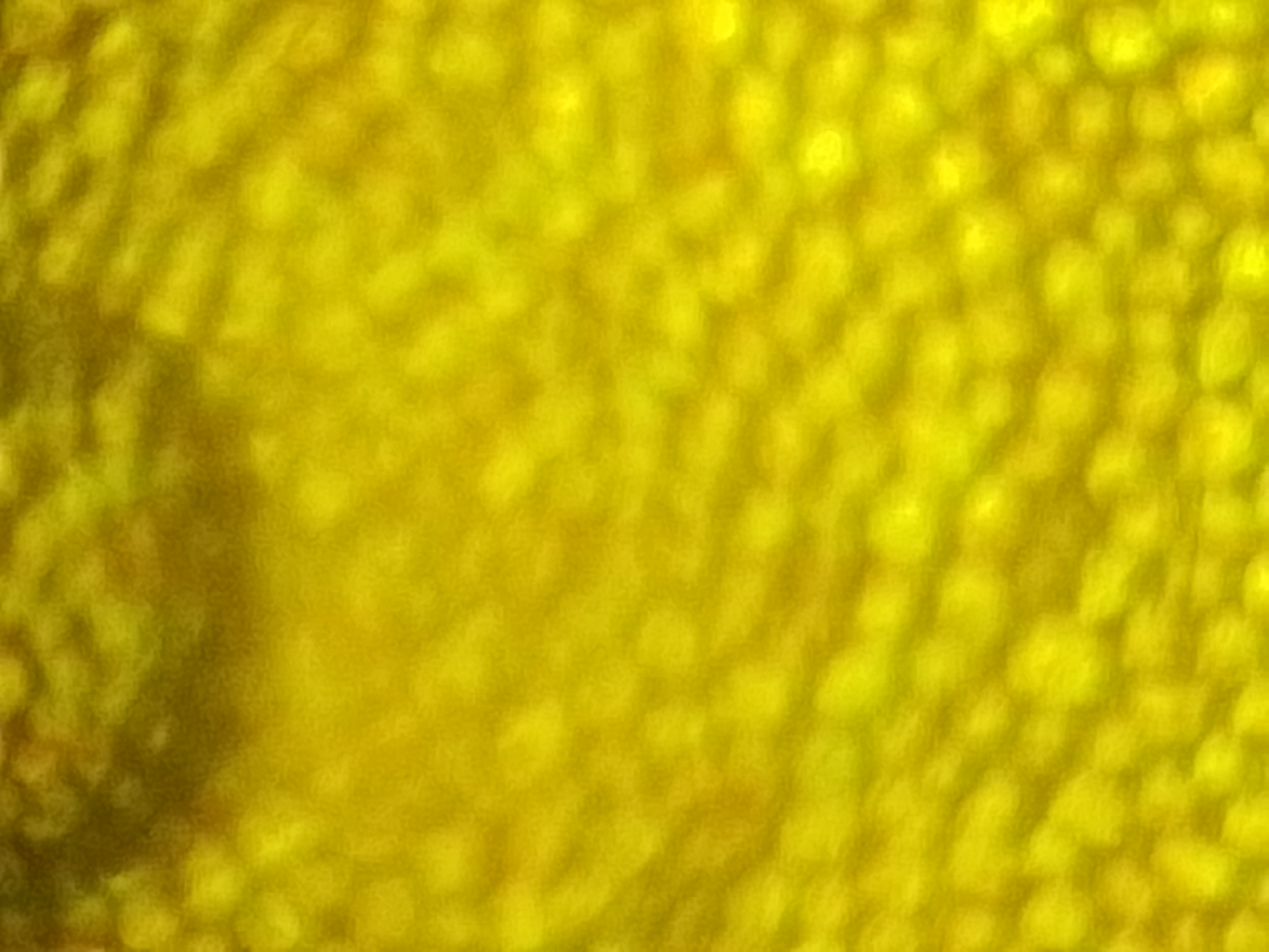 NaN%2FIMG_20240708_211839.jpg?alt=media&token=e2470a97-be00-419d-b81d-84fc6ecfd3e6