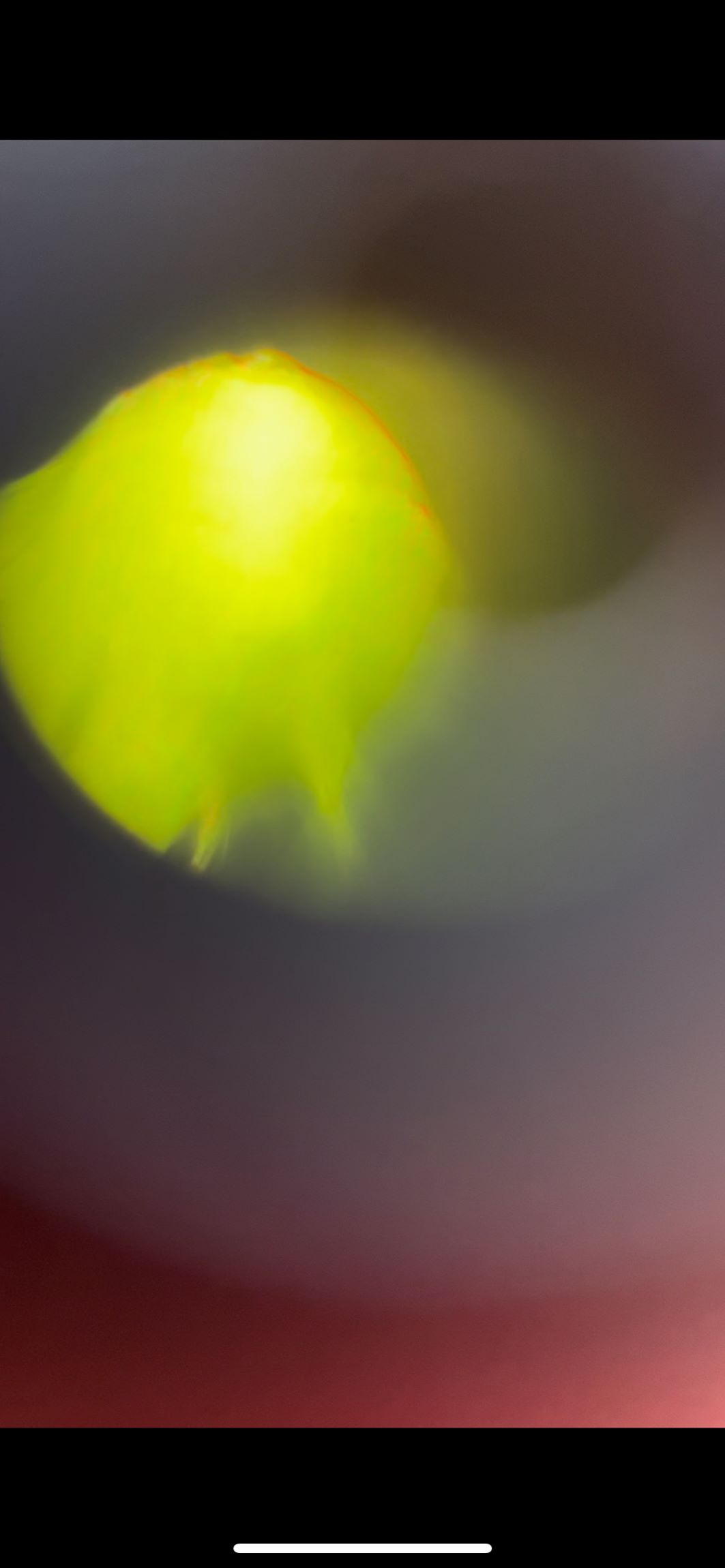 NaN%2FImage%20(3).jpg?alt=media&token=0fd0650a-dfef-4c07-982d-902f43458da4