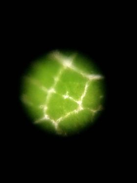 NaN%2FNayah_Andryah_Nhn.jpg?alt=media&token=4a7cf221-4752-4167-b77a-a6433c8230e3