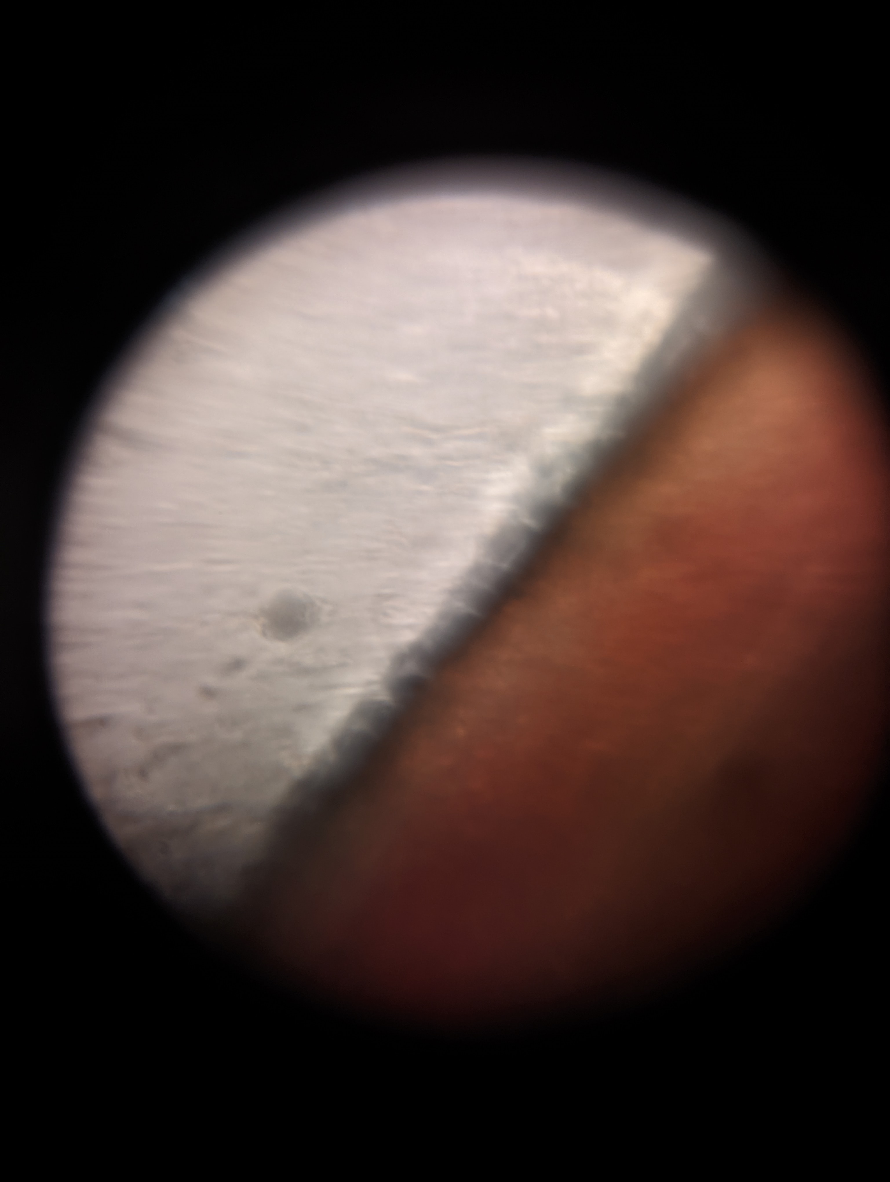 NaN%2FPXL_20221204_200300279.jpg?alt=media&token=b1e016a5-a478-4540-a0b0-7e664766fffb