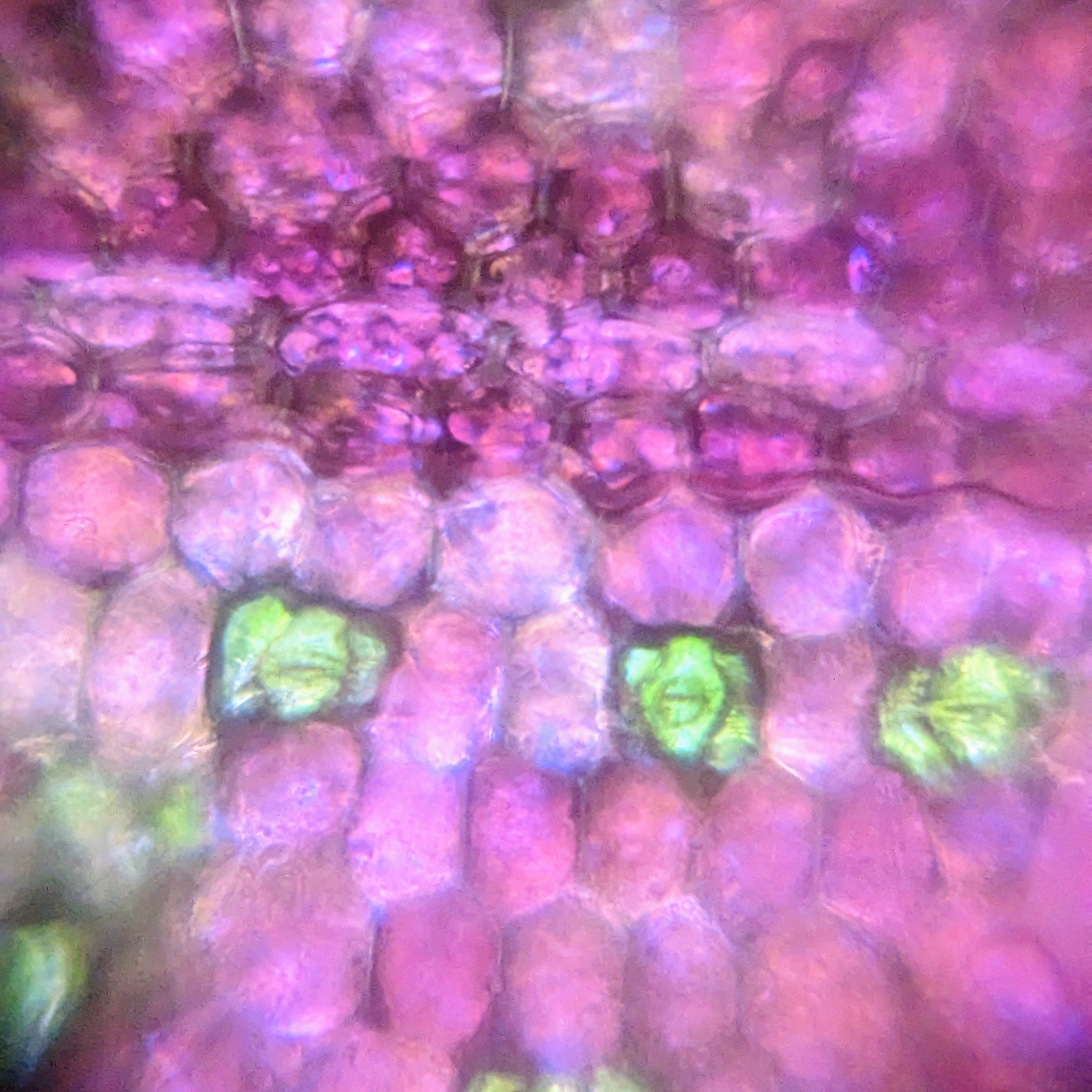 NaN%2FPXL_20230102_191659125.jpg?alt=media&token=76c5a79d-e29d-4ab8-a044-9cde3c0458fb