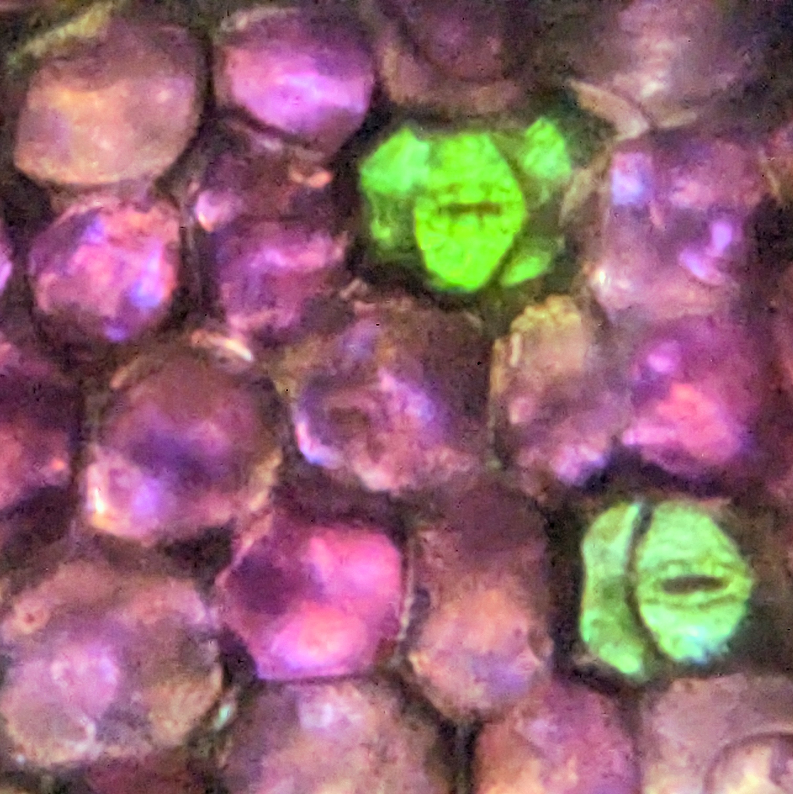 NaN%2FPXL_20230102_200057646_exported_879_1672689830949.jpg?alt=media&token=aa66ddfa-ccb9-4be9-a72d-b6eec1667f58