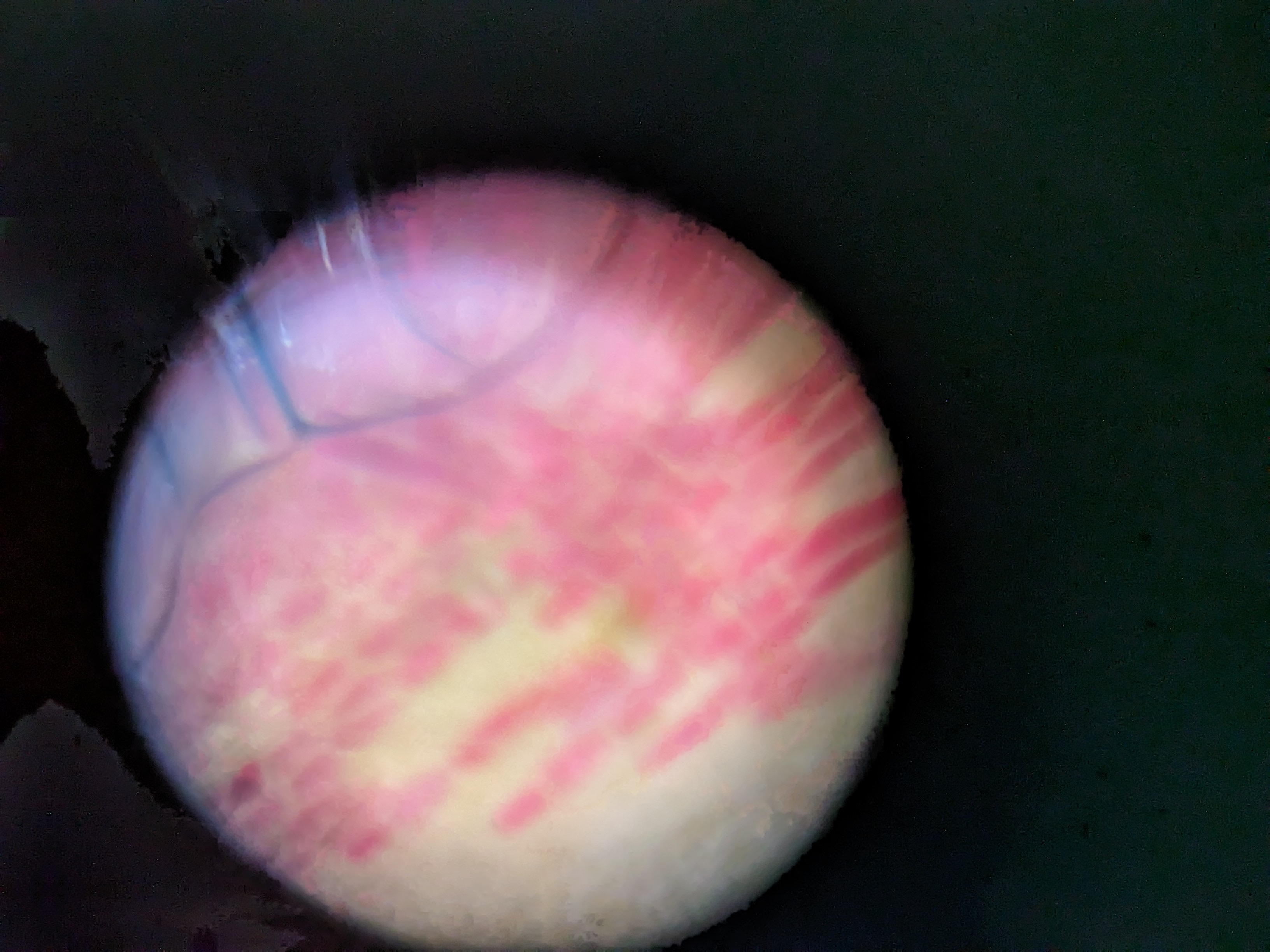 NaN%2FPXL_20230605_135304886.jpg?alt=media&token=5d1cc68c-bdca-4744-b8b1-6e541fe5f4b0