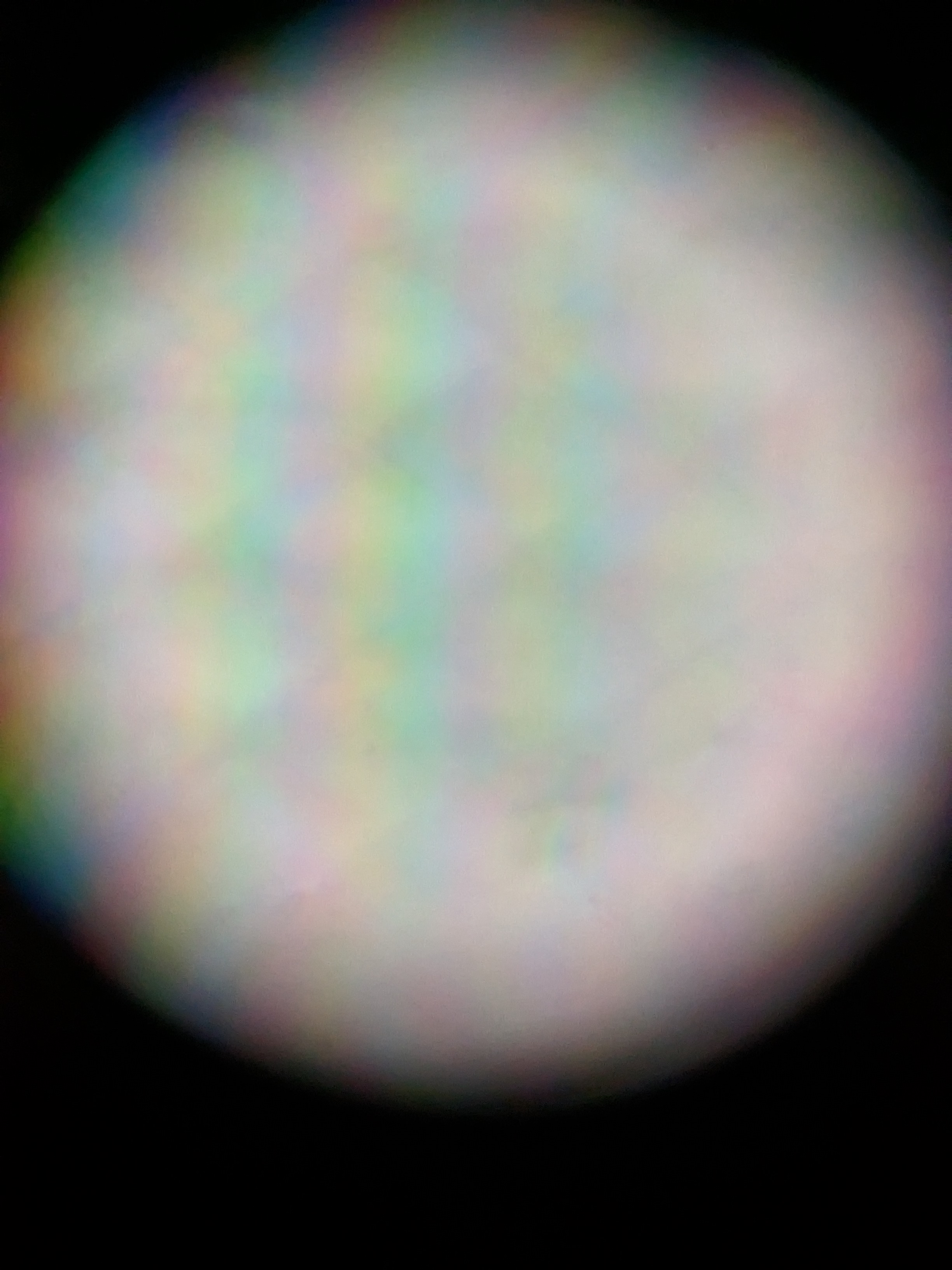 NaN%2FPXL_20230608_173114332.MP.jpg?alt=media&token=e2a24bc2-566d-4b08-9436-eae5f451a09b