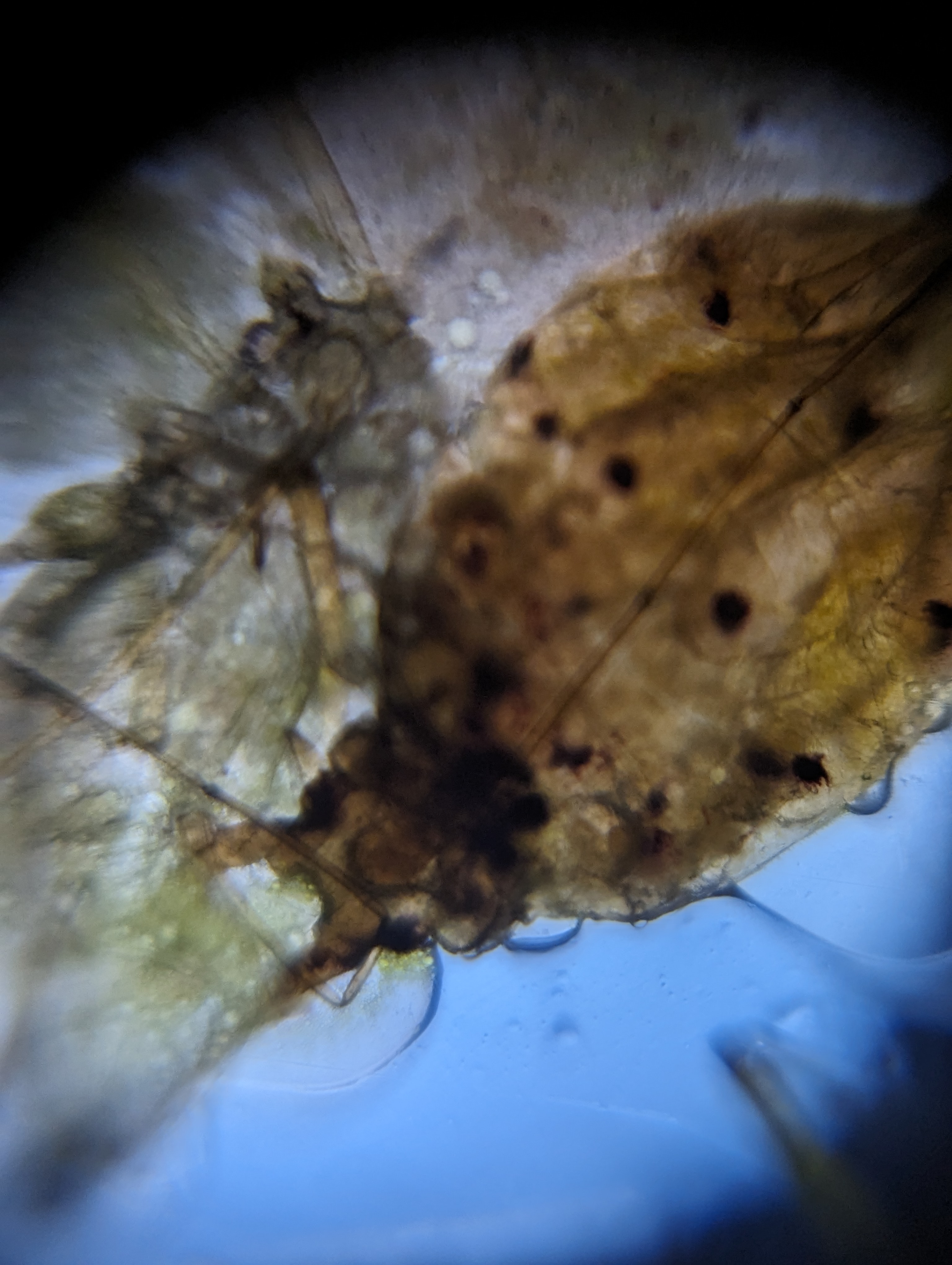 NaN%2FPXL_20230825_050235289.MP.jpg?alt=media&token=f3ce8cab-14f1-4e5c-a19c-6a6ddadc816c