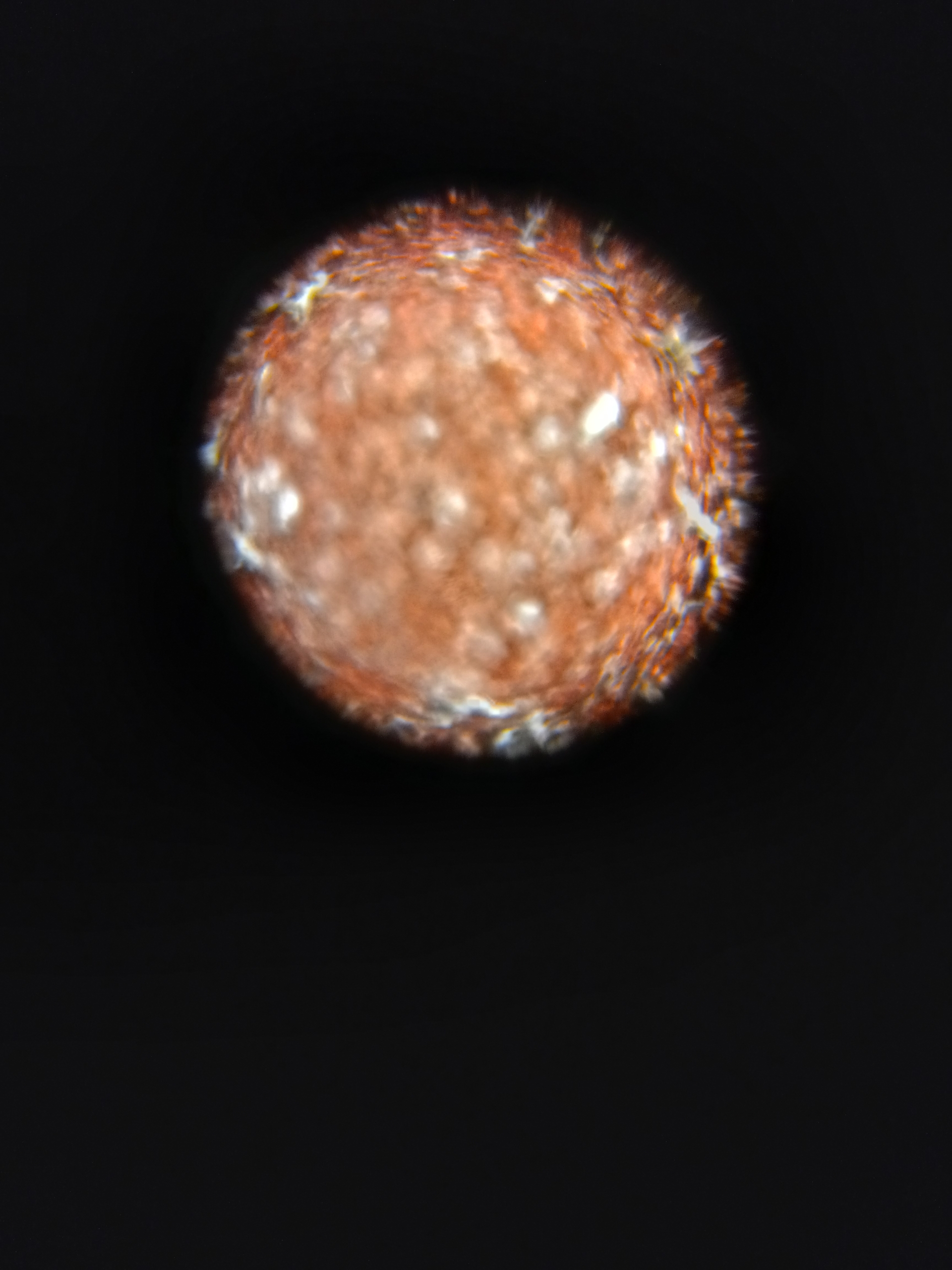 NaN%2FResized_20230426_172020.jpeg?alt=media&token=4fb47f95-5865-433b-ba4a-debe1db81768