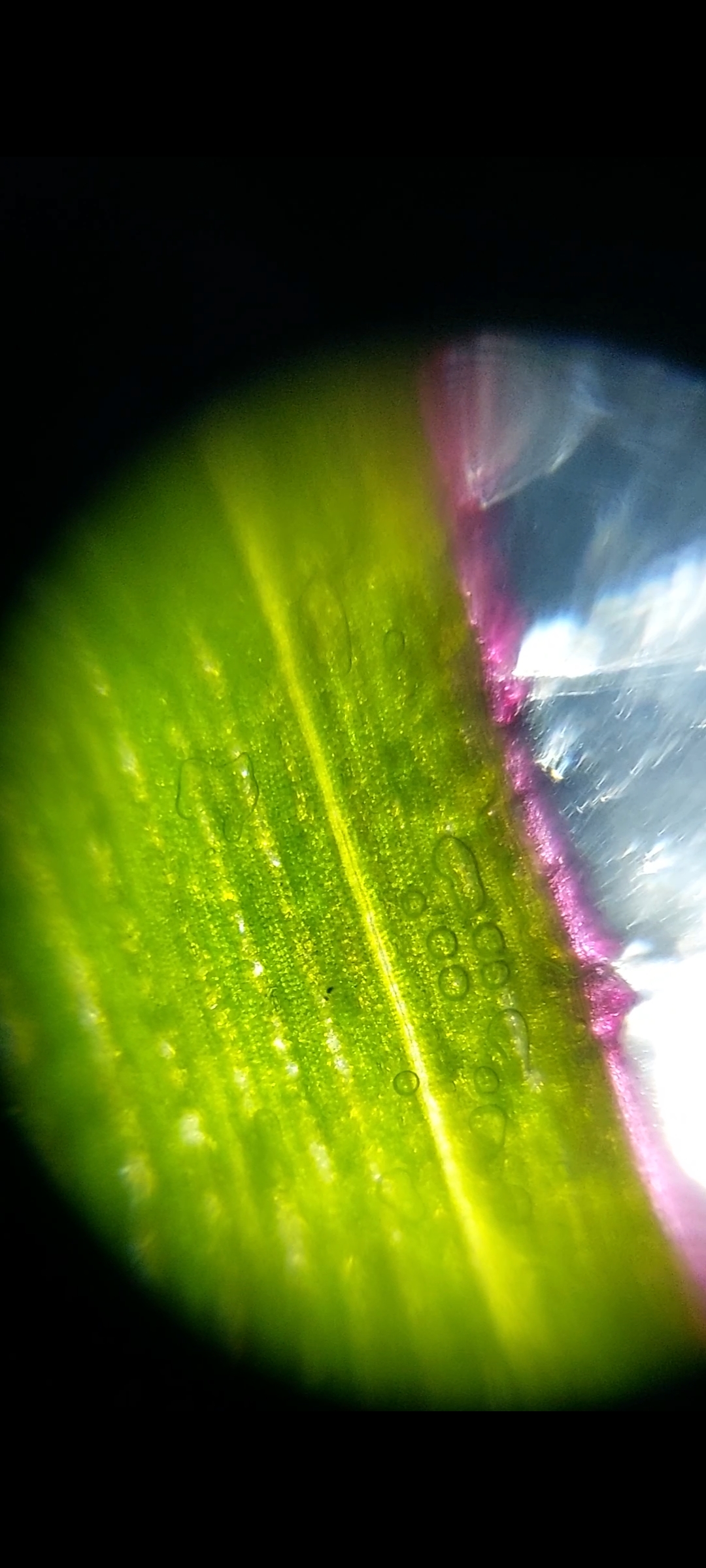 NaN%2FScreenshot_20230111-134110_Gallery.jpg?alt=media&token=5dc1b458-4d7d-4487-aa53-273946704812