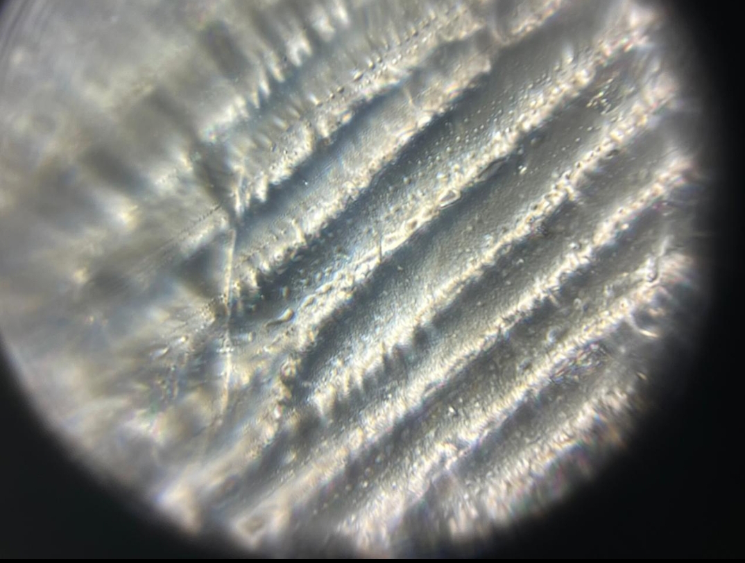 NaN%2FScreenshot_2024-05-28-15-00-01-165-edit_com.whatsapp.jpg?alt=media&token=04b9137e-e8b9-4710-b7bc-58d8560f2af1