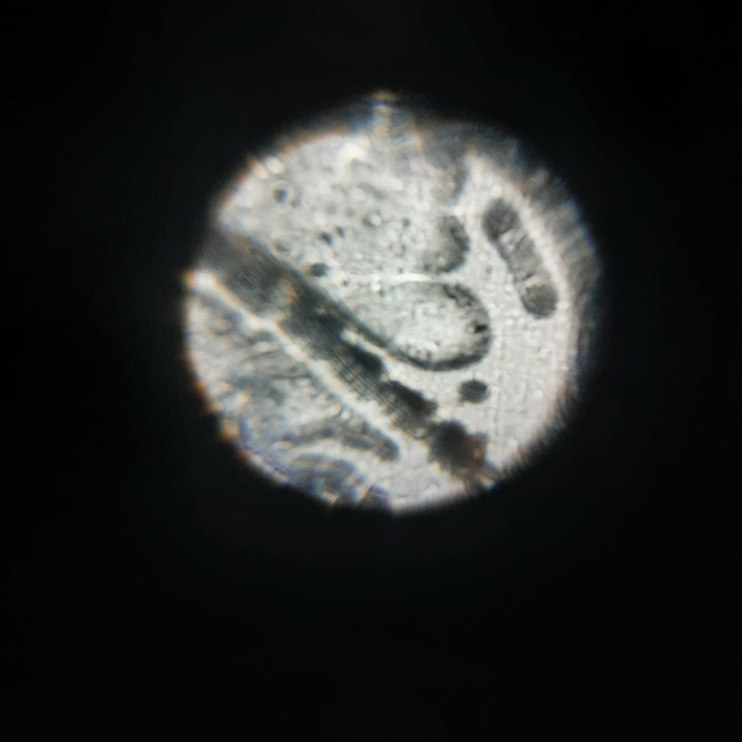 NaN%2FWhatsApp%20Image%202022-09-18%20at%207.26.25%20PM.jpeg?alt=media&token=ce3fc194-7780-4d70-bedb-348a16f17173