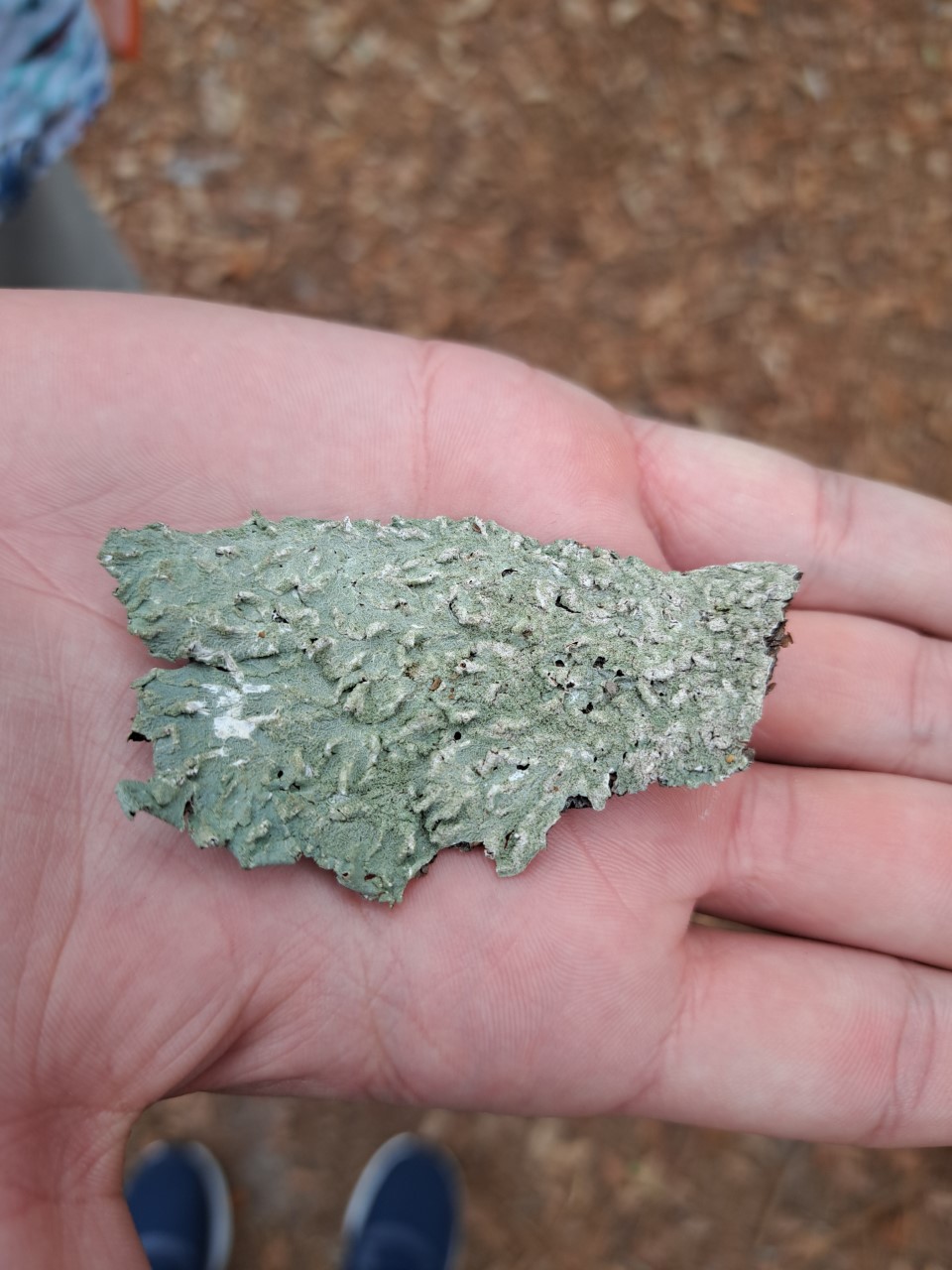 NaN%2Fthumbnail_20230412_155242.jpg?alt=media&token=9657c369-f0a7-4a39-9748-4debecce79af