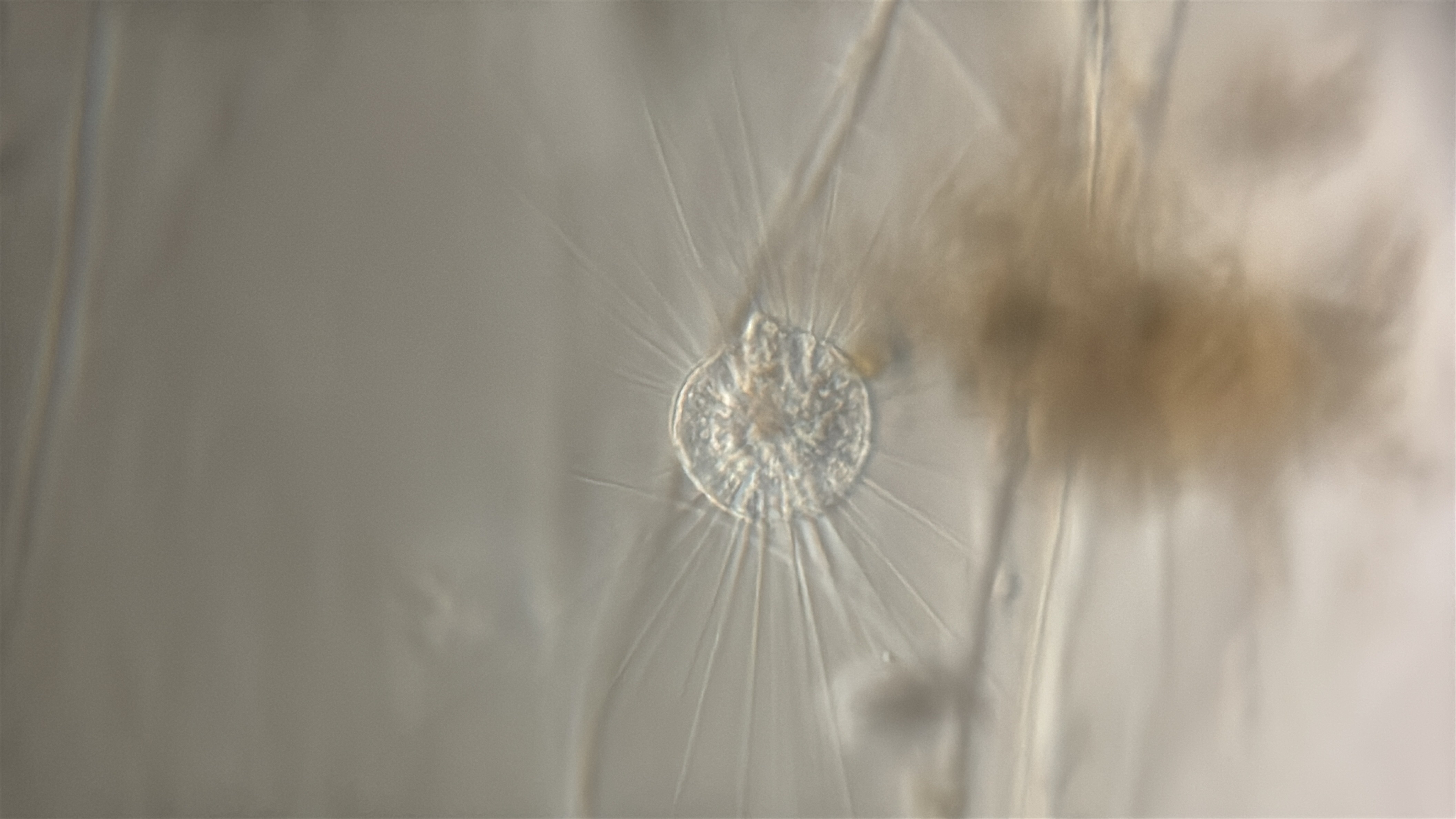 images%2F10462%2F52mxTcfRUsKJFcTewpMd%2F6e1f6d73-e5b8-4505-8616-c9c3c4834047.jpg?alt=media&token=1c1e3745-6b26-438e-ae5c-c291989cea59