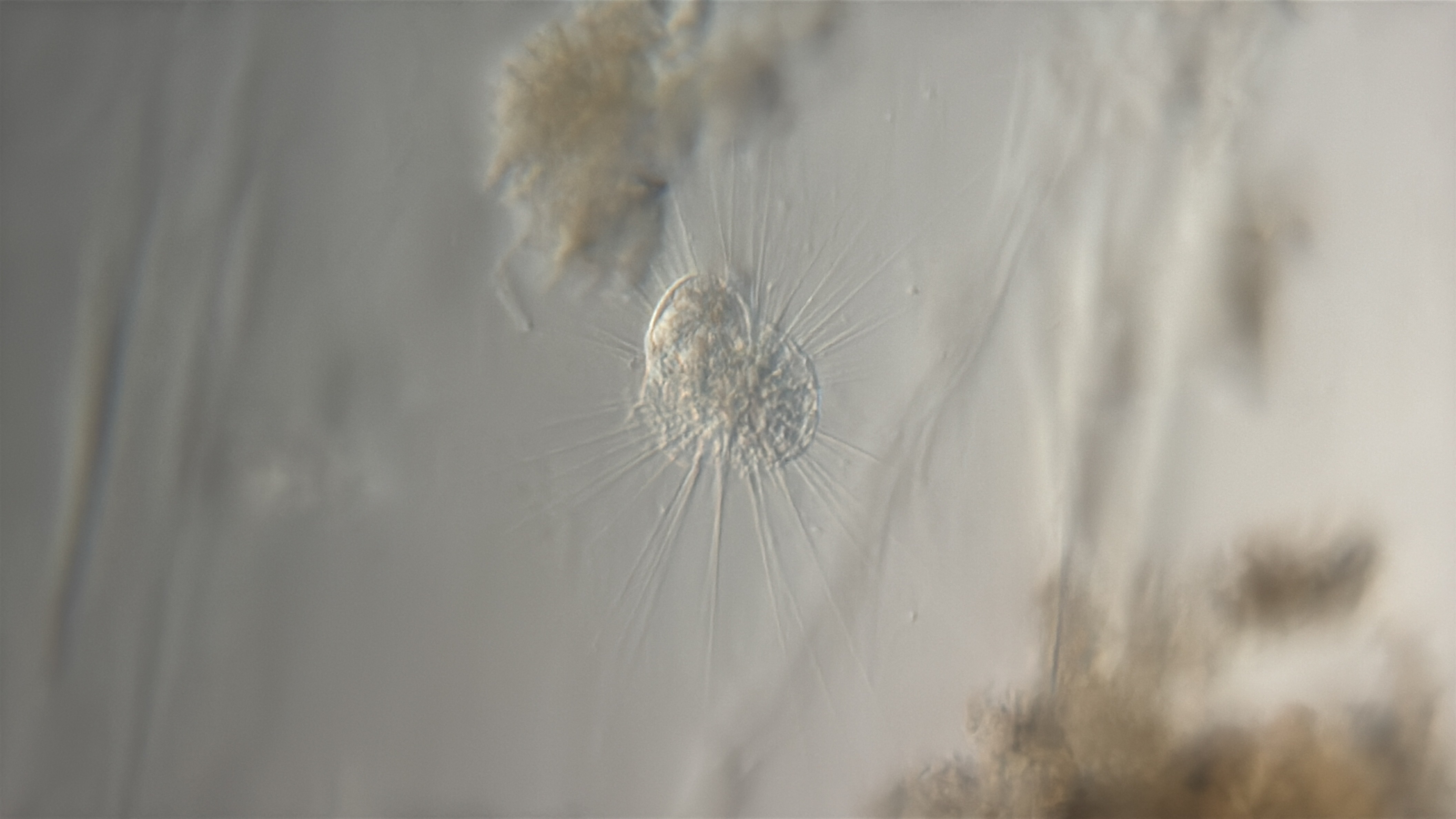 images%2F10462%2F52mxTcfRUsKJFcTewpMd%2F9d7e58a4-02c5-4ede-8fa0-f829f3629bf0.jpg?alt=media&token=360dab7e-e930-42de-9edd-96a8aab7dcf0