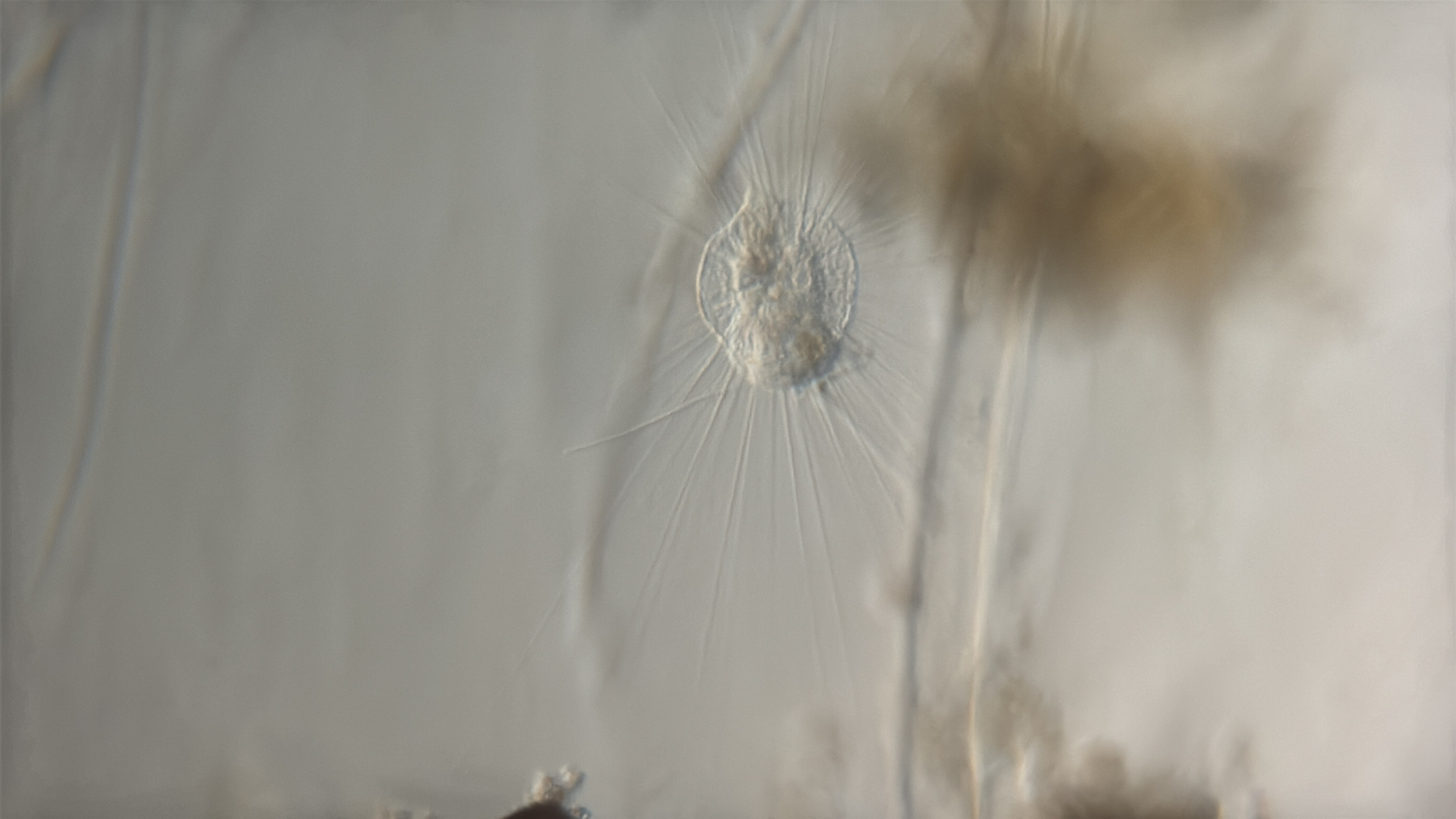 images%2F10462%2F52mxTcfRUsKJFcTewpMd%2Fa4b5910f-9567-4e0a-8b3c-b44a8eb93c99.jpg?alt=media&token=c09db9ee-c902-42f2-be83-65f849355565