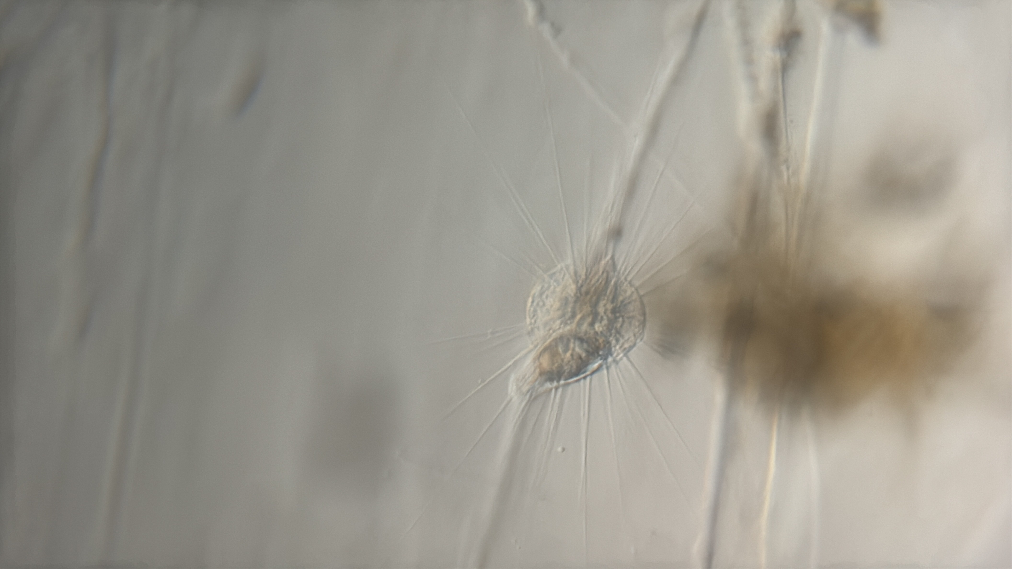 images%2F10462%2F52mxTcfRUsKJFcTewpMd%2Fce59c84c-0c51-4923-ad7d-5a6b58e359fb.jpg?alt=media&token=8c3b283d-a1b3-4a63-95ac-5ce96b8334f6