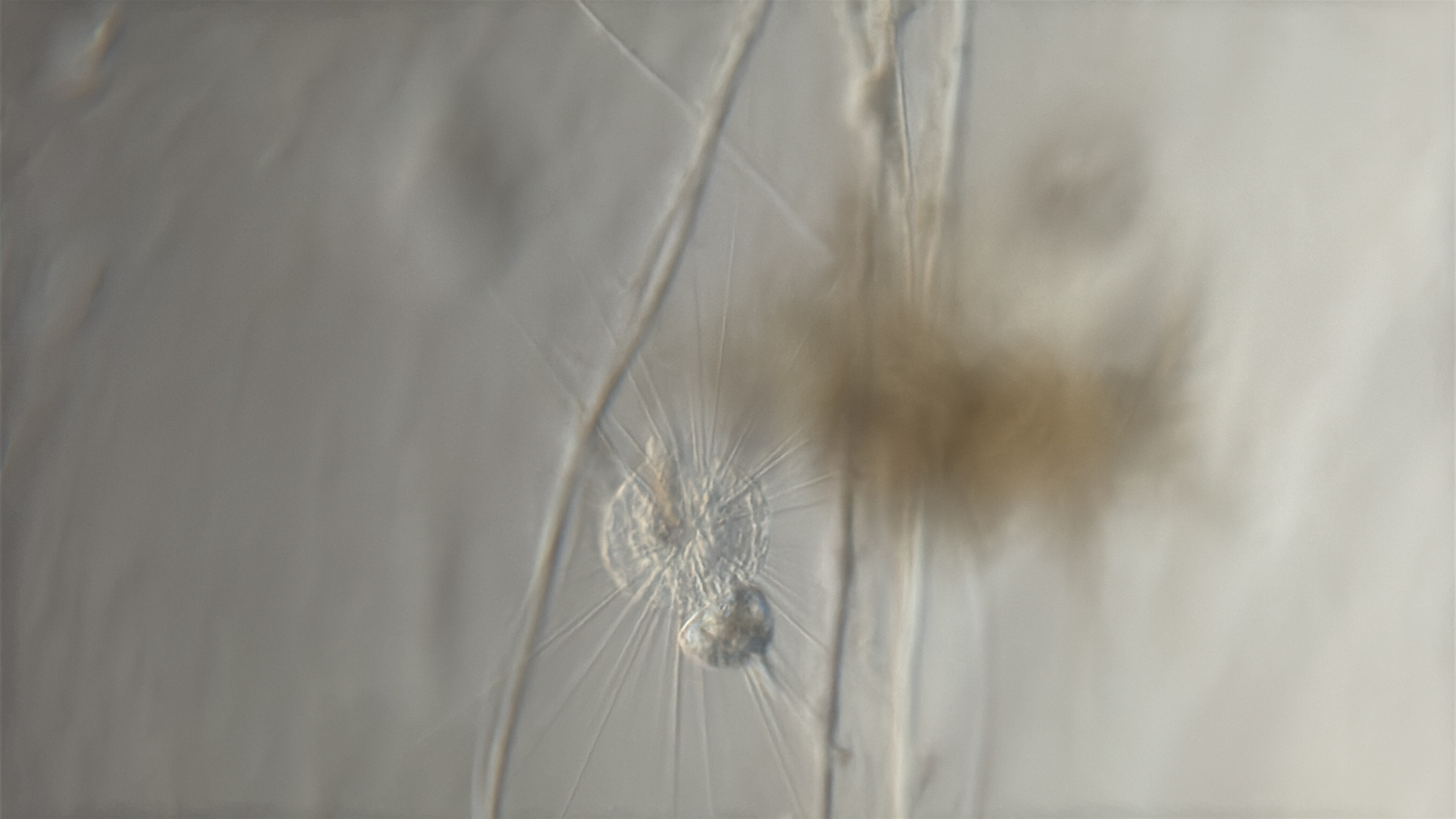 images%2F10462%2F52mxTcfRUsKJFcTewpMd%2Fd8b2bf61-f3cf-4763-ae4c-e089b302fe21.jpg?alt=media&token=01dff5a6-2562-4d3a-9591-c481e6b5cc91