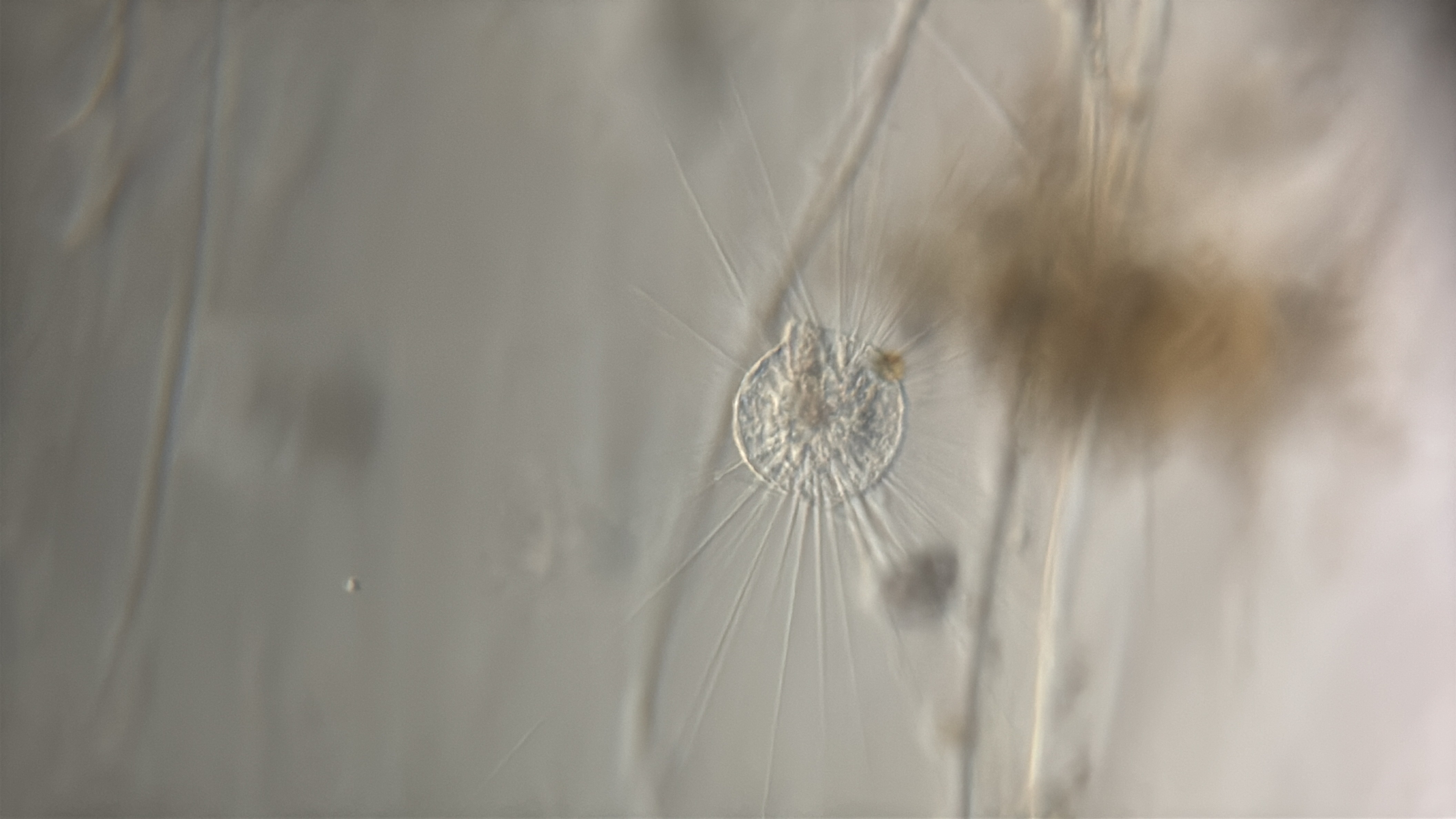 images%2F10462%2F52mxTcfRUsKJFcTewpMd%2Fdcefd10e-e709-48cf-a72b-b23d8620549a.jpg?alt=media&token=bc3da95b-622a-4abd-bbfc-58b2bbfbc3ad