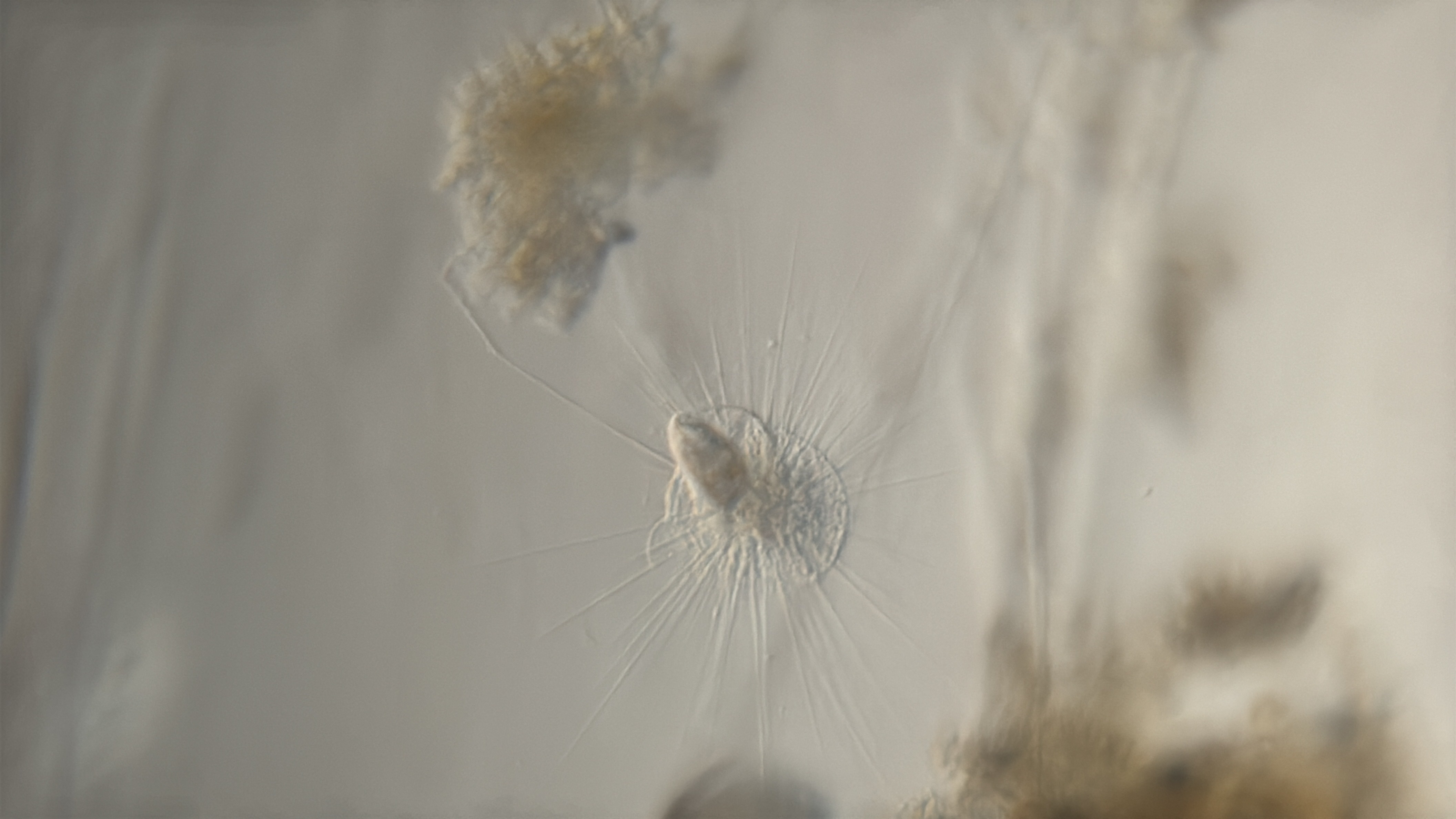 images%2F10462%2F52mxTcfRUsKJFcTewpMd%2Ff4dbd0ba-5be6-4d89-a501-0923ad0a89a8.jpg?alt=media&token=d5184708-40f4-423a-a3e7-094b69ac4197