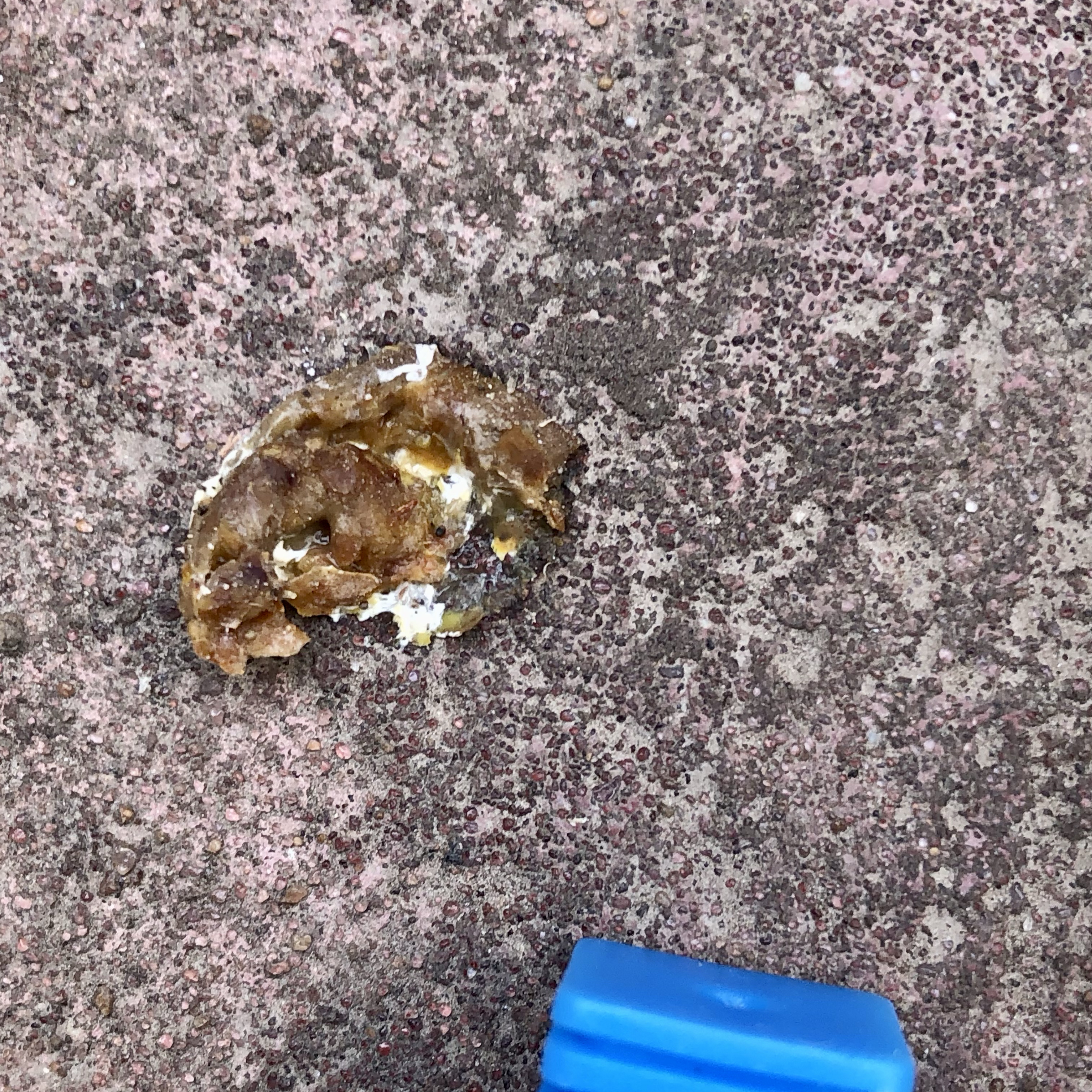 images%2F2f728332-5bfb-4bb6-9b12-449b236c98b6%2F11098159-ca0d-4f14-bb32-37291af8993e.jpg?alt=media&token=82758f1b-0754-4a64-86d3-112322894bd4