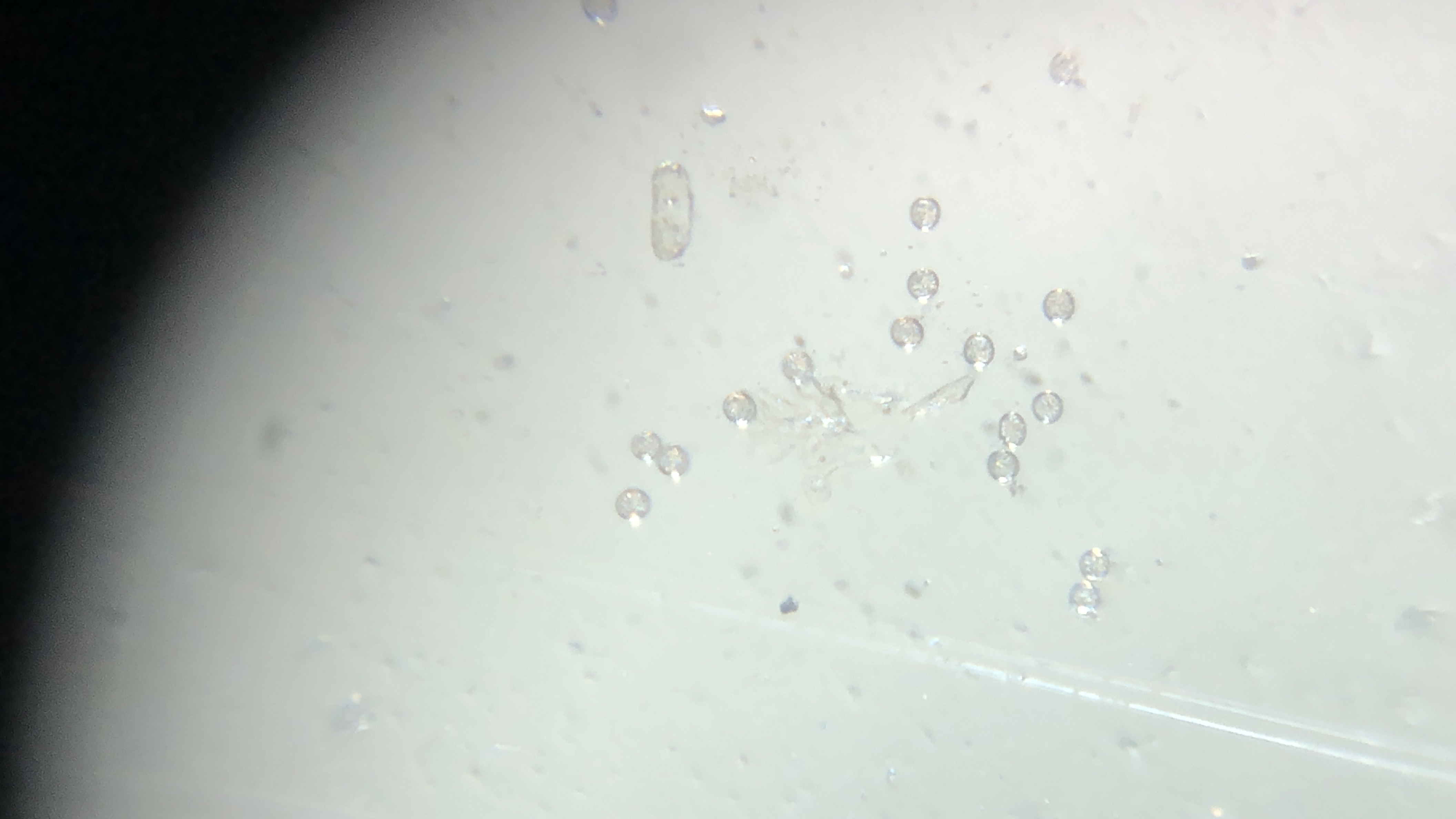 images%2F2f728332-5bfb-4bb6-9b12-449b236c98b6%2F8aa1fe4b-f6bd-4767-9922-ad63755fdbf7.jpg?alt=media&token=2208b3ce-afb7-4467-91dd-a80e24662e2b