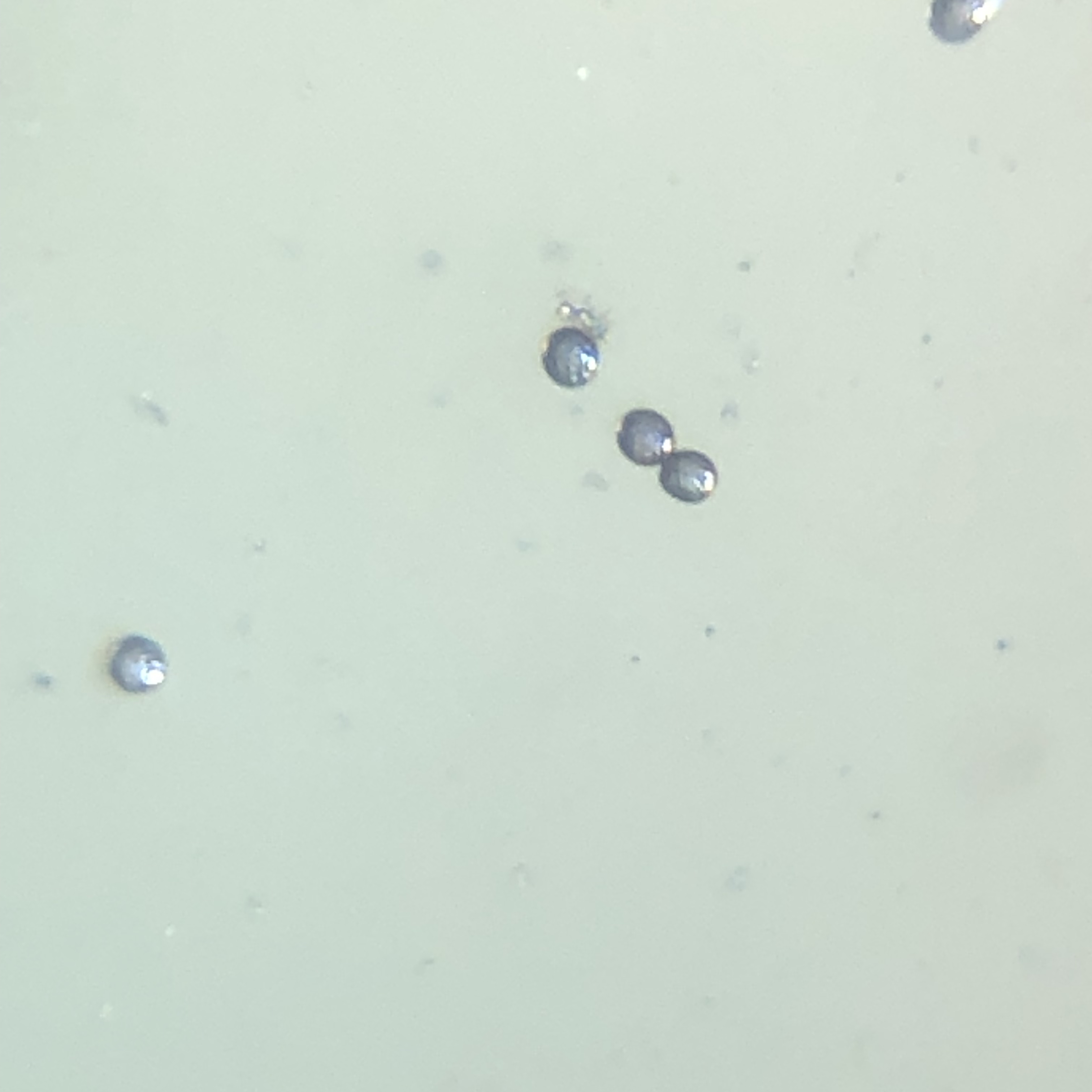 images%2F2f728332-5bfb-4bb6-9b12-449b236c98b6%2F92c5f513-b217-4a84-a97b-6bad25a4f804.jpg?alt=media&token=4c0dea0b-47fb-47b4-bab4-8ad545a6ba3d