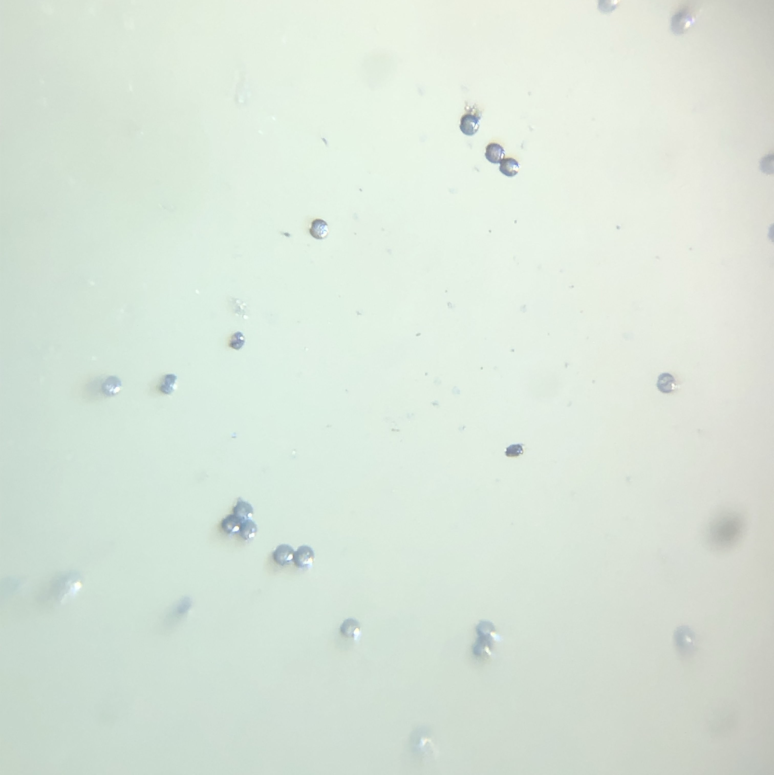 images%2F2f728332-5bfb-4bb6-9b12-449b236c98b6%2Fd2d3bd52-571a-4ce7-aeee-67a90167d812.jpg?alt=media&token=5a8e3d97-32f0-493b-a561-1f45551b2dc7