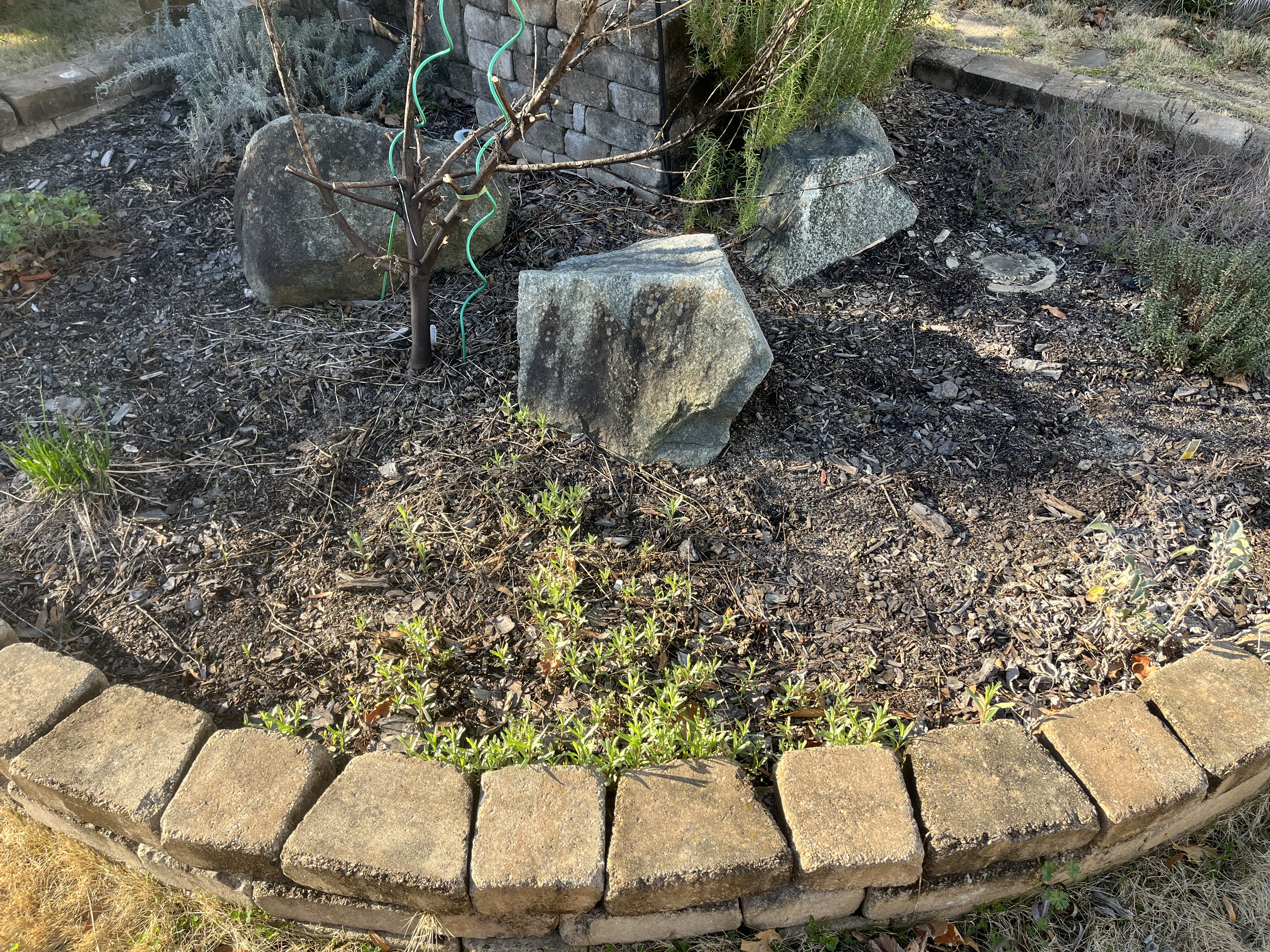 images%2F4160f00a-6e2b-42c7-892d-781d2654aa9e%2F76f696f4-fc04-4f6c-9482-2fb6893727c7.jpg?alt=media&token=14d2db56-2389-4a78-a790-44d9d4a87fc1