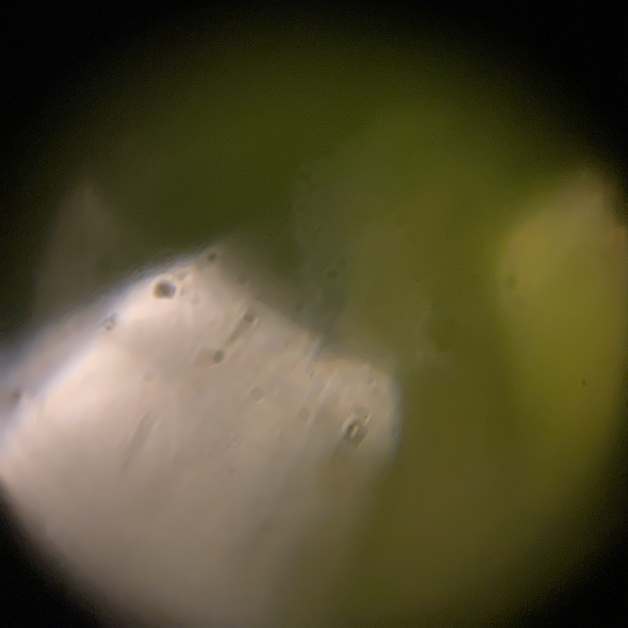 images%2F439345a0-2064-4c5a-a45f-c4e1b37dcf36%2F904a3cf8-37a8-4eda-b430-1d4aca099ec5.jpg?alt=media&token=07a9941f-ff25-42a8-9e4f-3a6e08710109