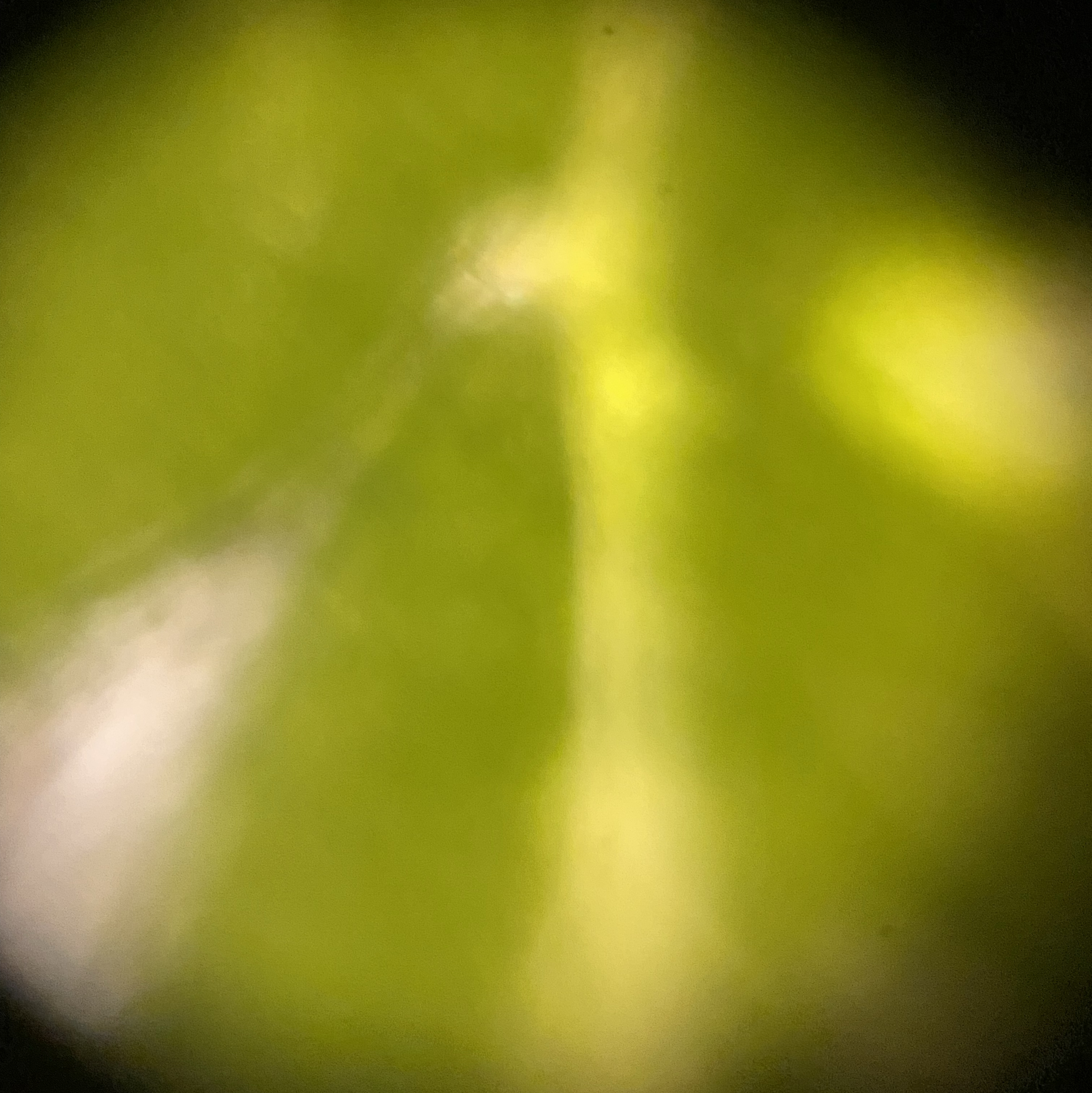 images%2F439345a0-2064-4c5a-a45f-c4e1b37dcf36%2Fe44b8ee5-ca0d-4899-aaec-49a36310f0ed.jpg?alt=media&token=1e181b14-0564-403f-9228-253d402be0b5