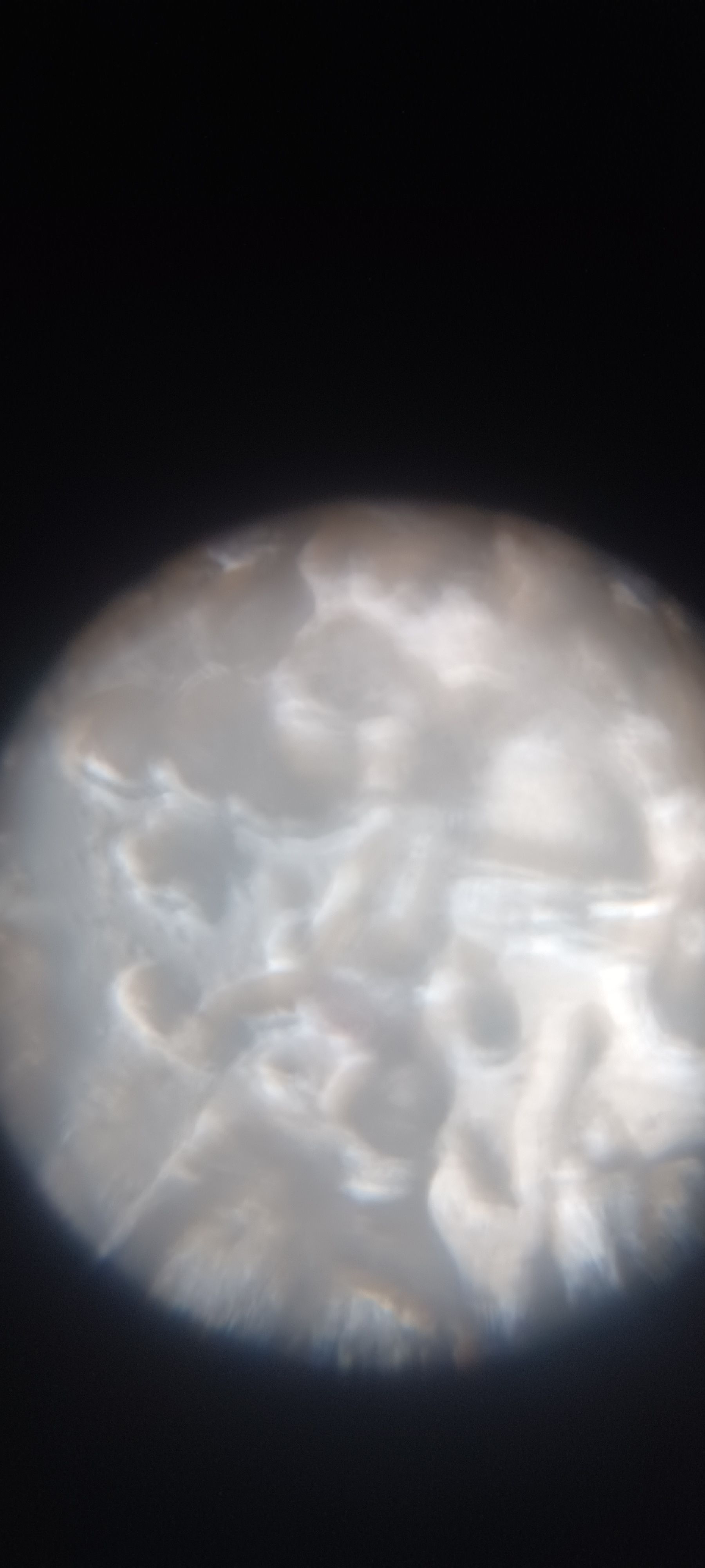 images%2F60A8sZ3GStVfpvzMsk88Gdz7avu2%2FhQjsxjHxeqfMnAwNbmbc%2F197ce875-c449-43e4-902b-4c914bc3803a.jpeg?alt=media&token=07d75fc8-b438-4c45-abc3-ac605afedd48