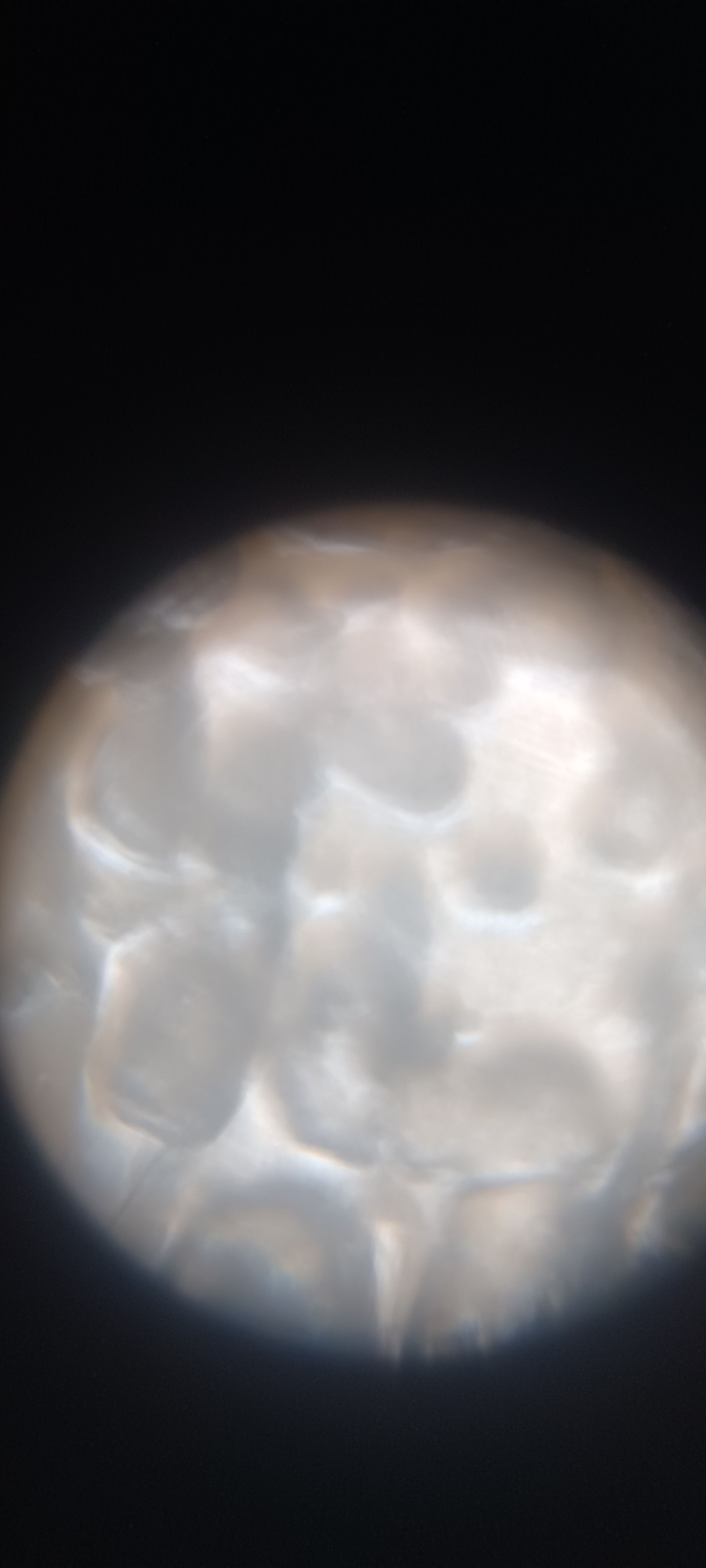 images%2F60A8sZ3GStVfpvzMsk88Gdz7avu2%2FhQjsxjHxeqfMnAwNbmbc%2F4f95c036-dc50-4e5b-b3d3-f90cfdea0db6.jpeg?alt=media&token=760ef905-1687-4f26-9bc9-3aae316d083c