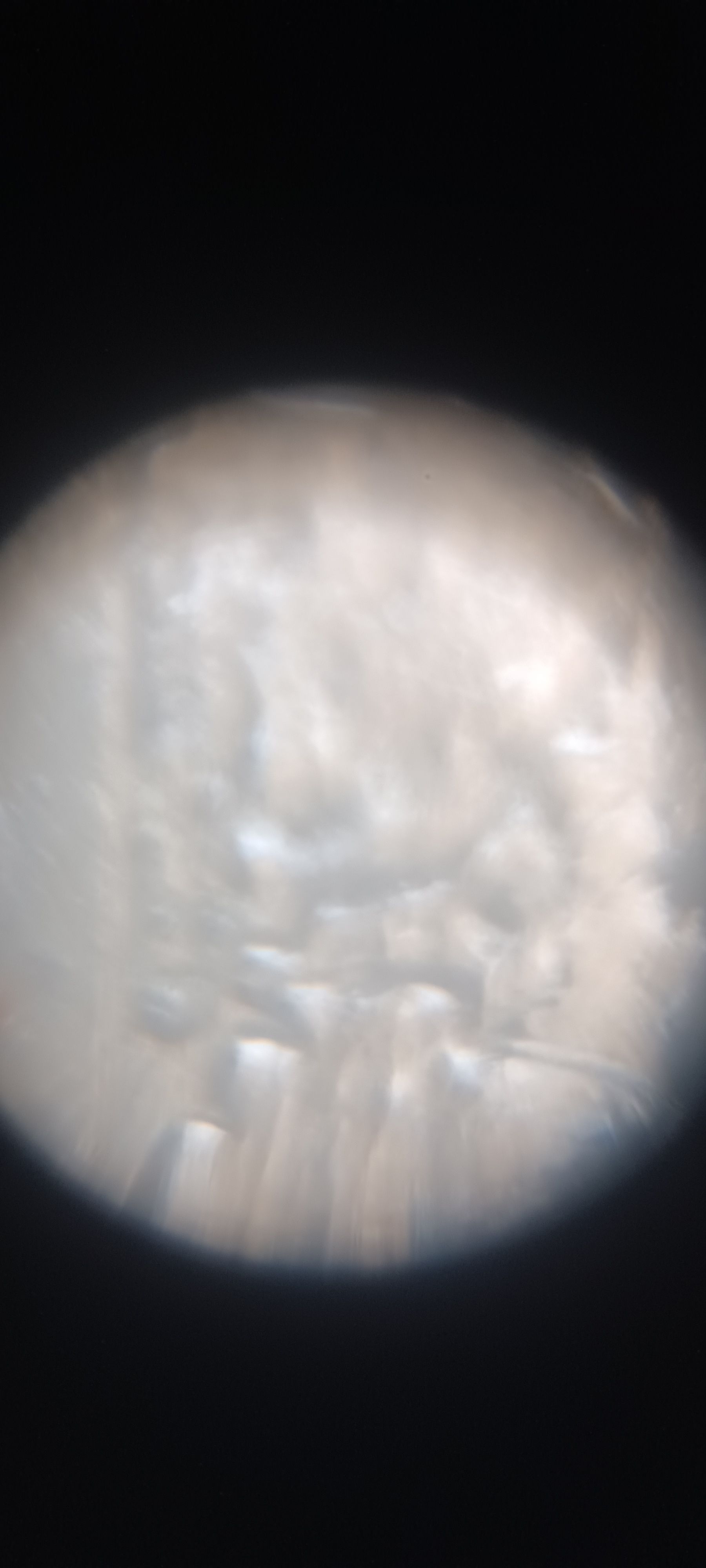 images%2F60A8sZ3GStVfpvzMsk88Gdz7avu2%2FhQjsxjHxeqfMnAwNbmbc%2F774fc884-5eb6-4798-944a-c4b205c1335d.jpeg?alt=media&token=8374c266-fd6c-4696-b53e-0ea8b0b70b5e