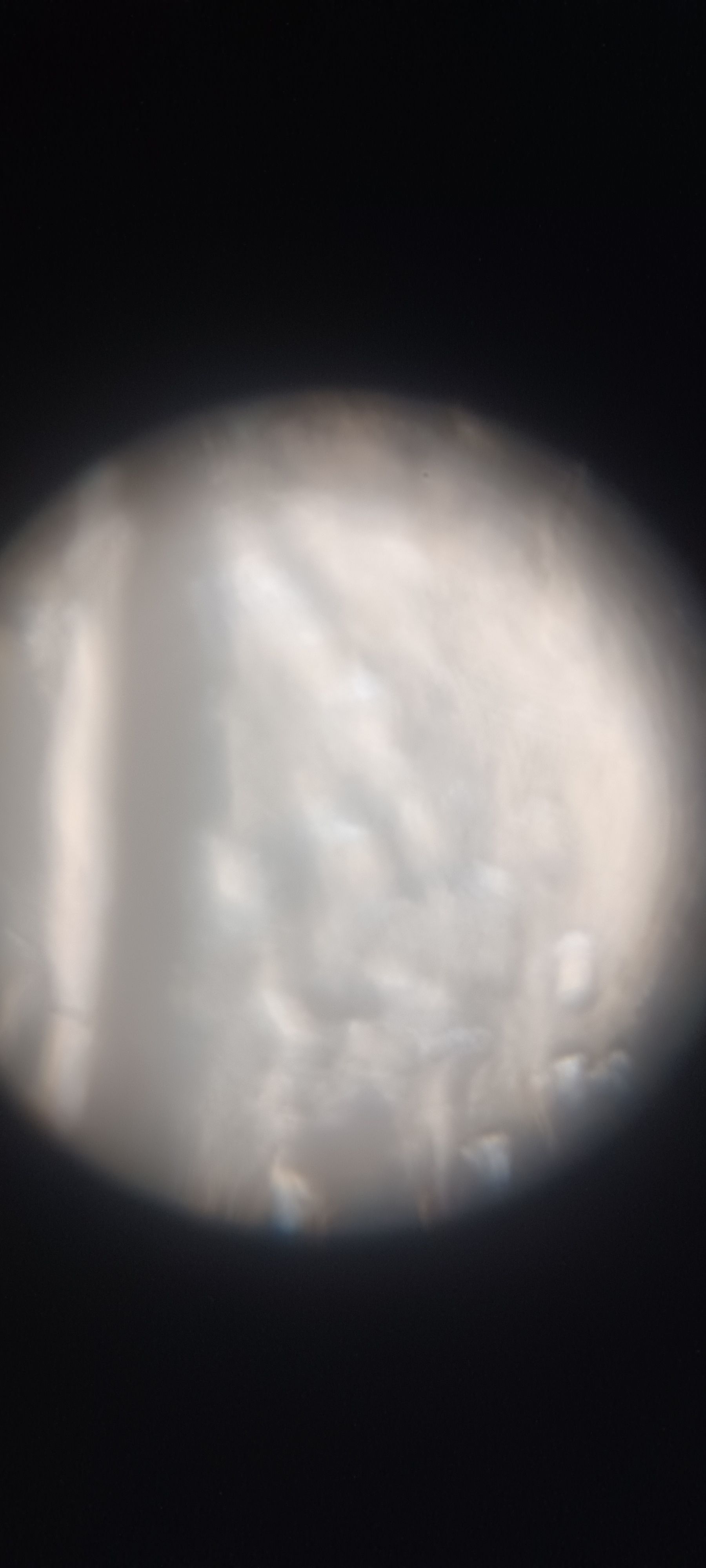 images%2F60A8sZ3GStVfpvzMsk88Gdz7avu2%2FhQjsxjHxeqfMnAwNbmbc%2F7fde2aee-6d8a-42f9-ac3a-2c1e5443002c.jpeg?alt=media&token=15749293-009c-450e-b7e4-7e954b1614be