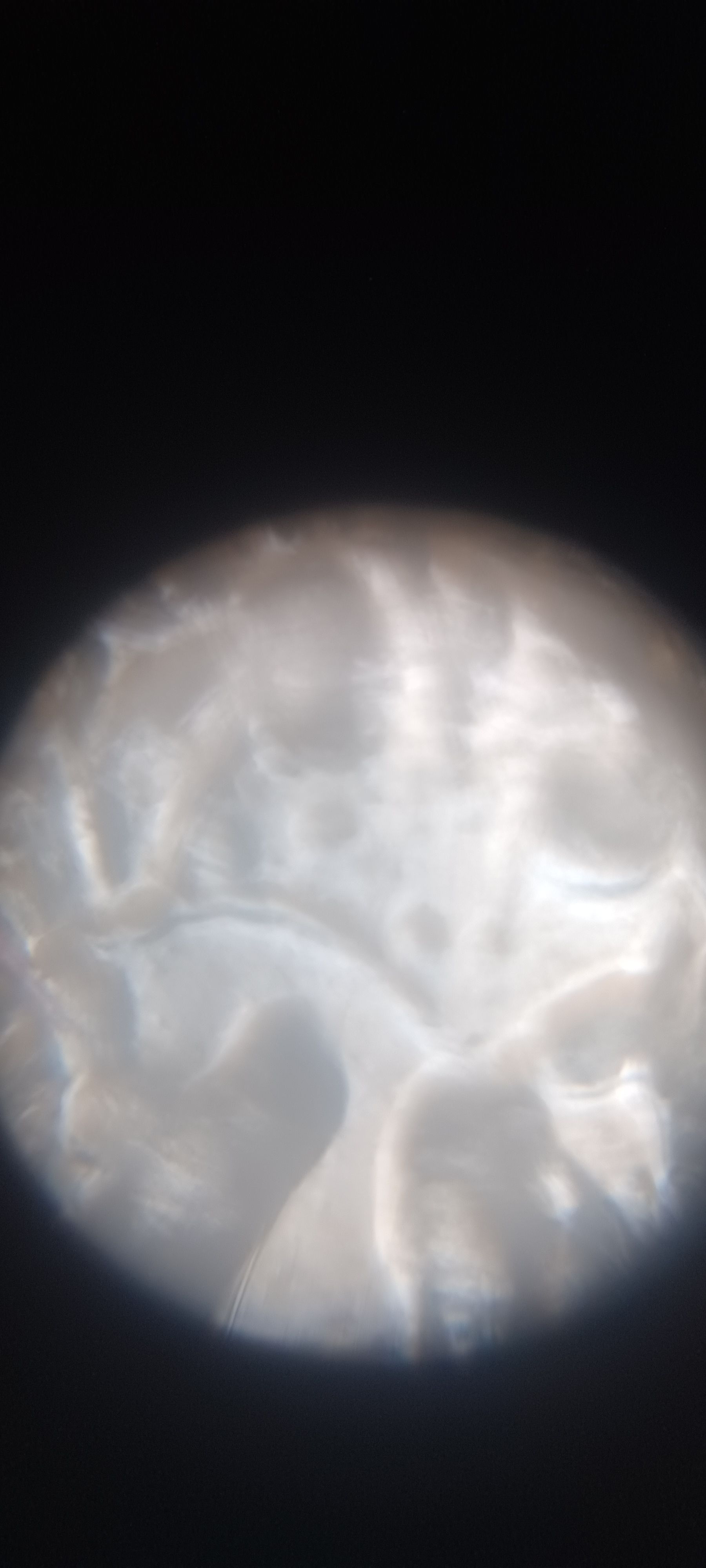 images%2F60A8sZ3GStVfpvzMsk88Gdz7avu2%2FhQjsxjHxeqfMnAwNbmbc%2Fec3e5bb8-c43c-4a0e-be9b-922039817670.jpeg?alt=media&token=836c341d-162b-4d3a-869e-f1028fc51a0e