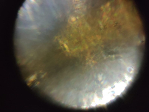 images%2F68288119-1ea7-4bbe-8795-ebf09d4be3a0%2F478d1213-63cb-4221-81f9-c9a84188f858.jpg?alt=media&token=c5a4b695-f808-43ed-98c5-ed264e09d706