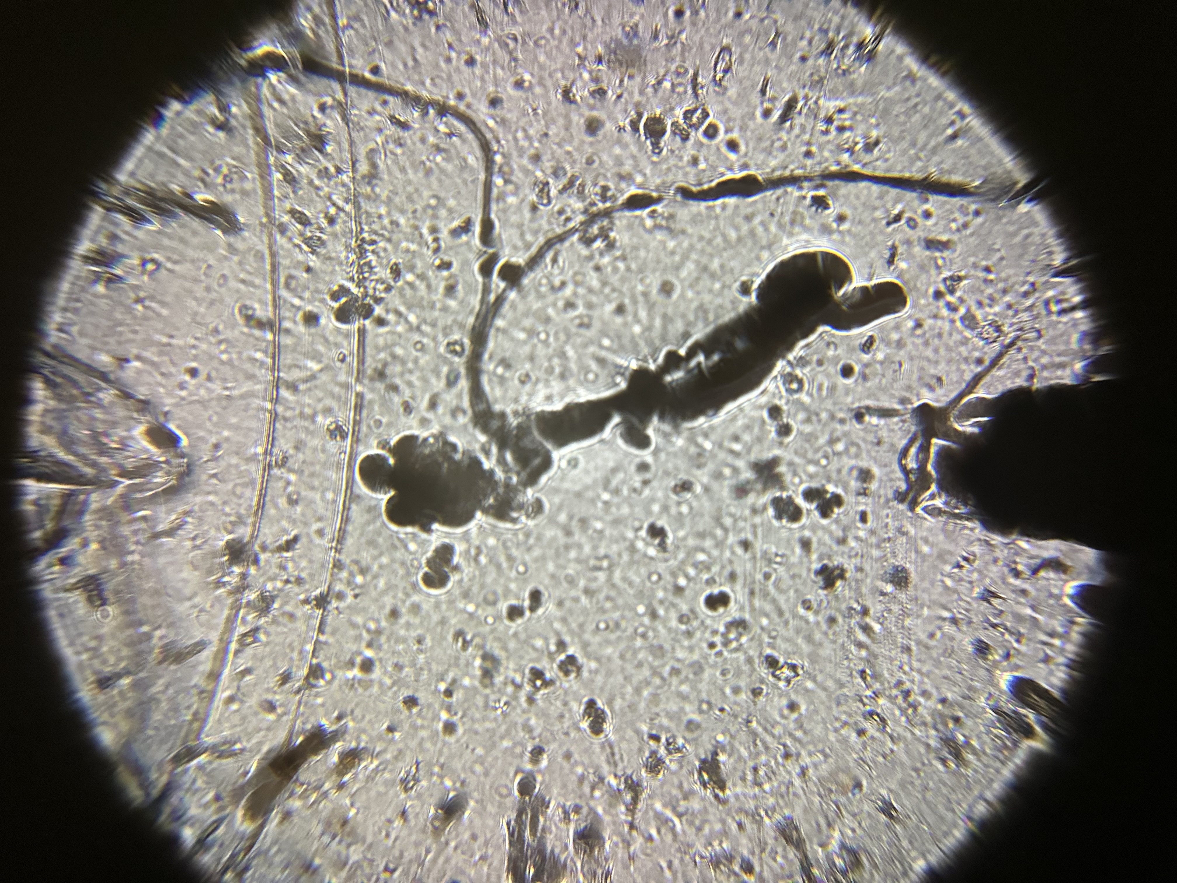 images%2F82DMuHA6KeUb6RJFIaLGF5ZG9Ey2%2FHo4EtN8FoCTzWaIXyJU6%2F6000a573-899a-4e32-be99-b09a48634d6b.jpg?alt=media&token=05d4eb73-d997-4d8b-b084-0091bbc5ddfd