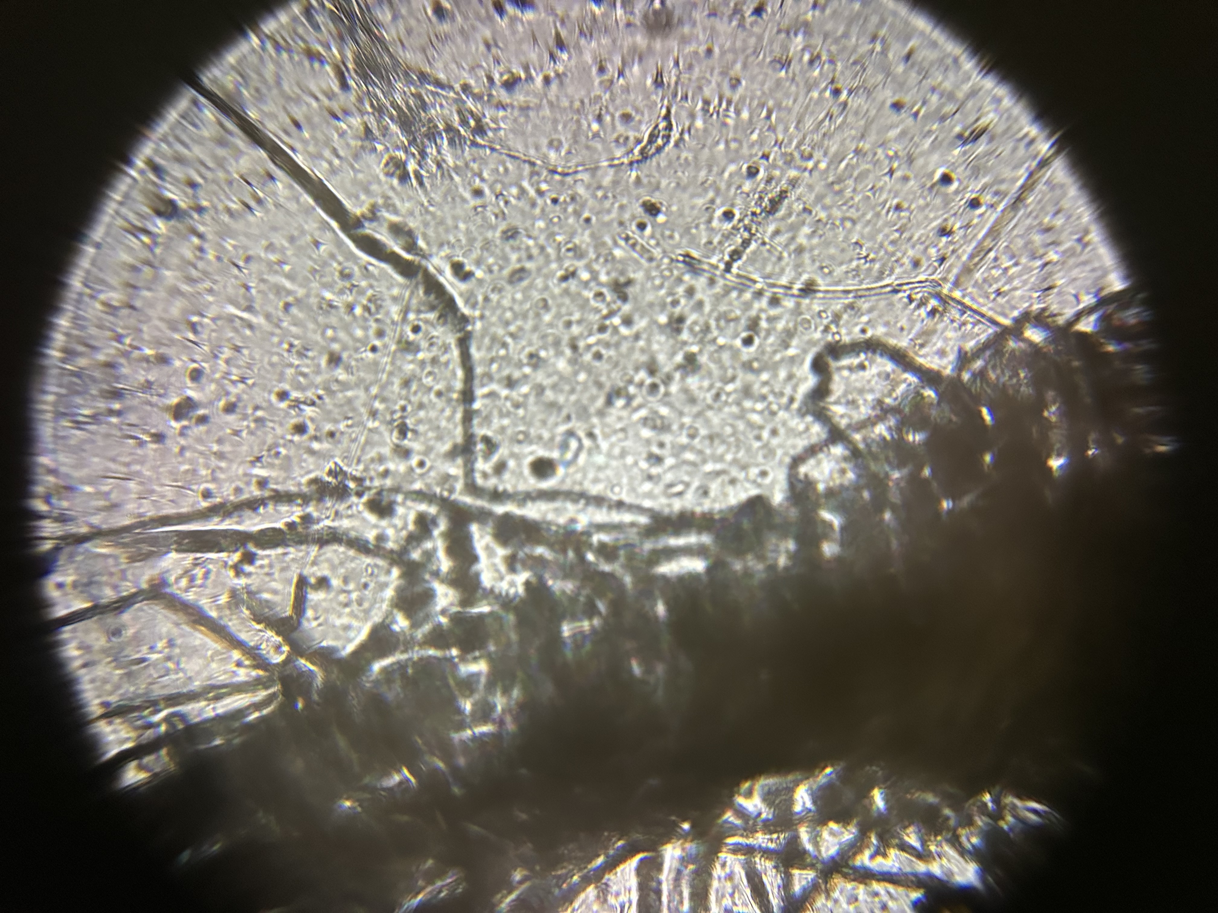 images%2F82DMuHA6KeUb6RJFIaLGF5ZG9Ey2%2FvmYkOj4voknWE9aWwd1B%2F1b574ed1-0c2d-4fc5-ad87-b0d3f2b9606e.jpg?alt=media&token=1db5ce72-454e-4a98-893d-c9c48aceffdd