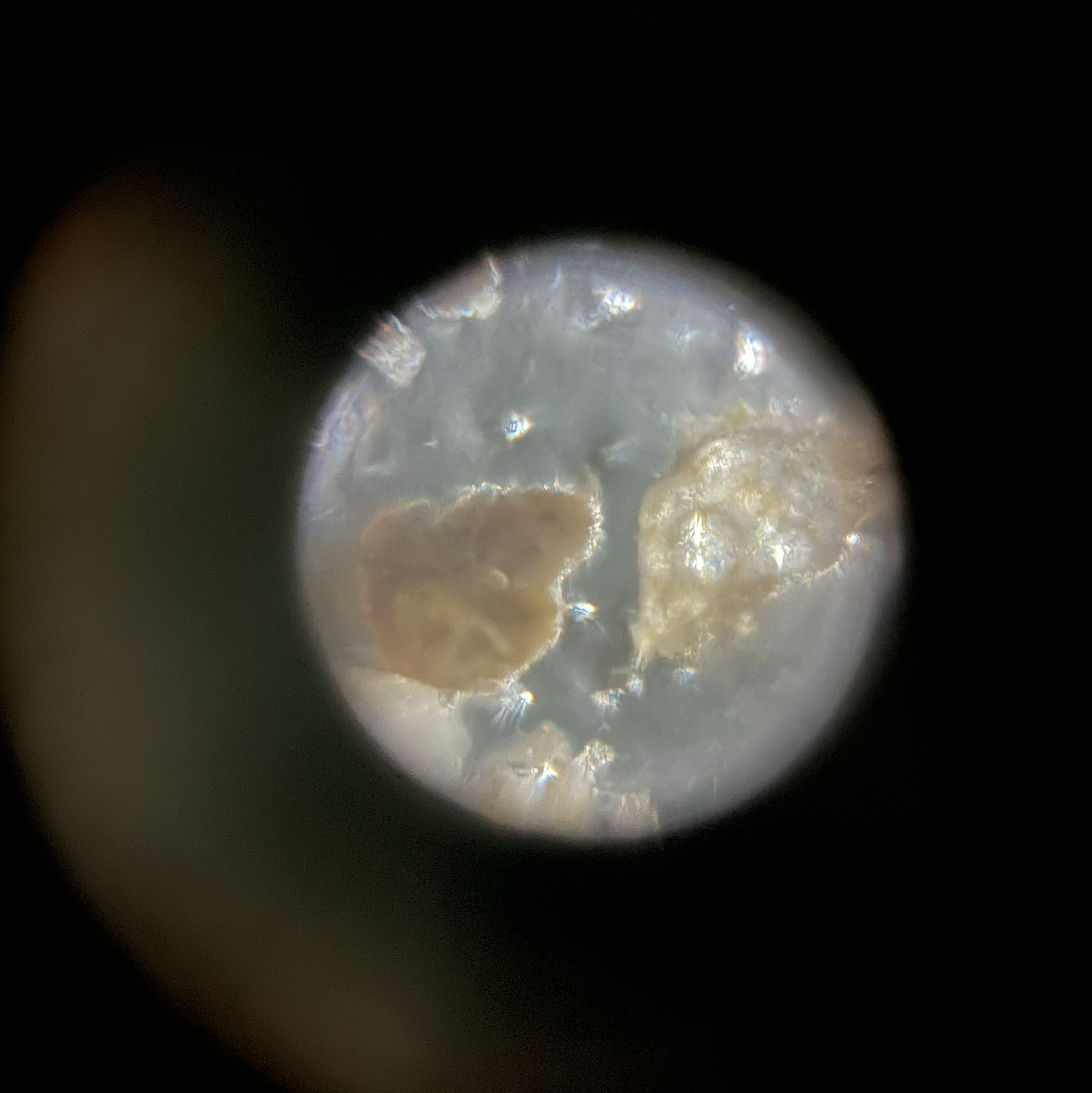 images%2F89159b6d-1e0e-47a9-bb0b-55ff61c82844%2F87c669e2-e60d-44b1-98df-ed2ad6c2546f.jpg?alt=media&token=70dd681b-e189-472d-bc5b-4503d91aa503