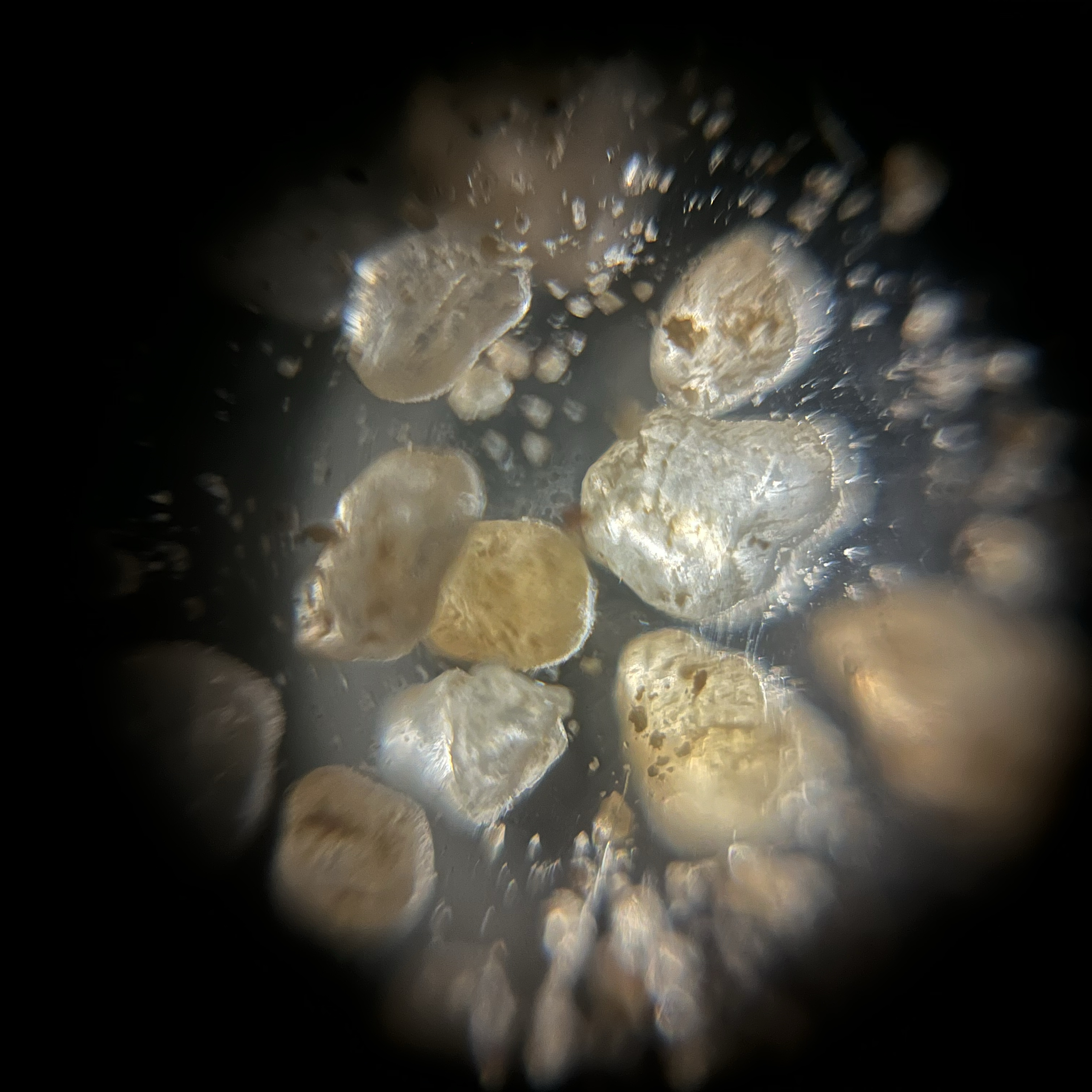 images%2F89159b6d-1e0e-47a9-bb0b-55ff61c82844%2Ff02a971d-e7bf-41aa-abf3-c314cb46895c.jpg?alt=media&token=f4ee2274-3db5-4af7-9570-a2f1696170b0