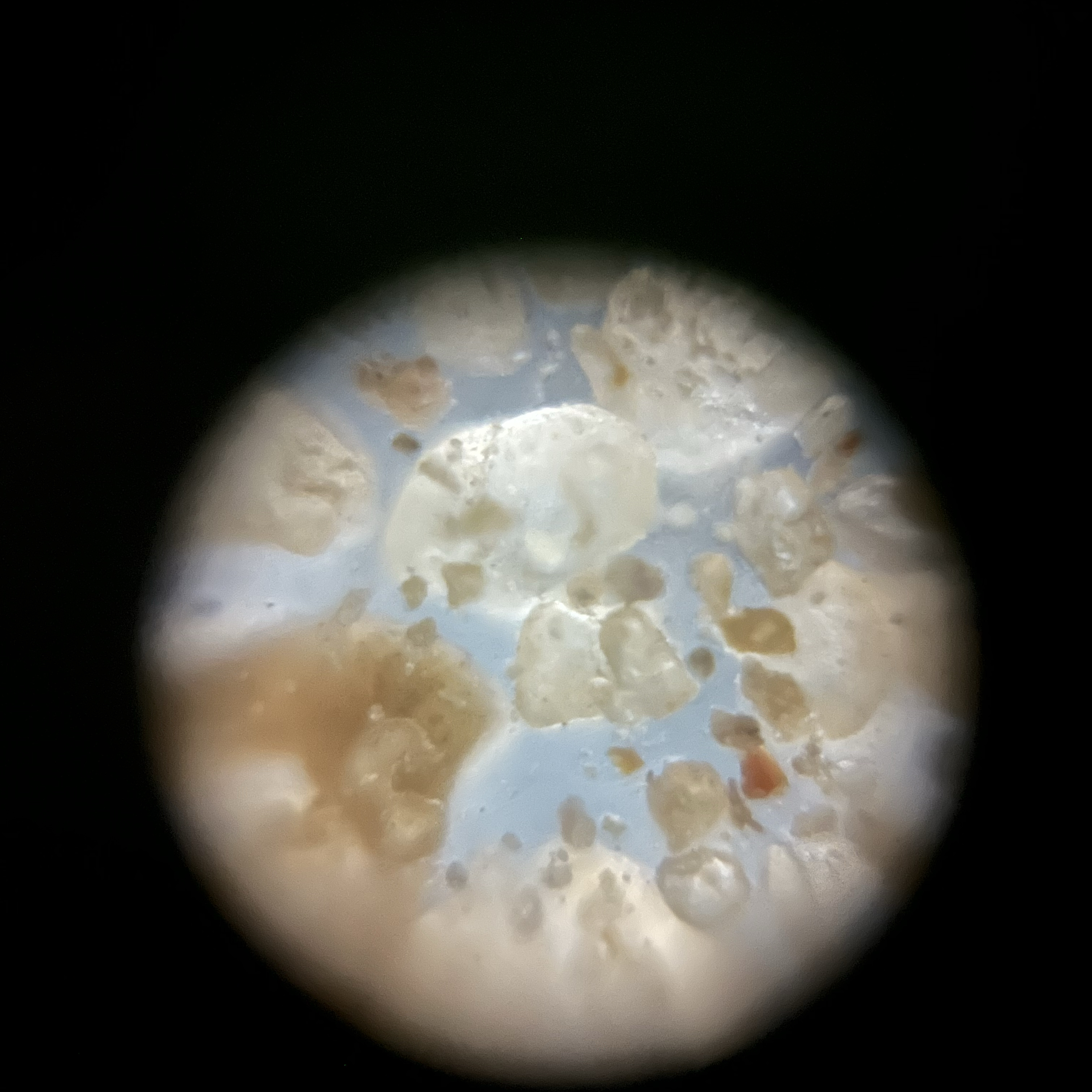 images%2F89159b6d-1e0e-47a9-bb0b-55ff61c82844%2Ffff2e34f-3720-476a-a059-fd9a497eaf0d.jpg?alt=media&token=5b5f0a0b-5f0d-4572-afe8-be6ec6ae77b5