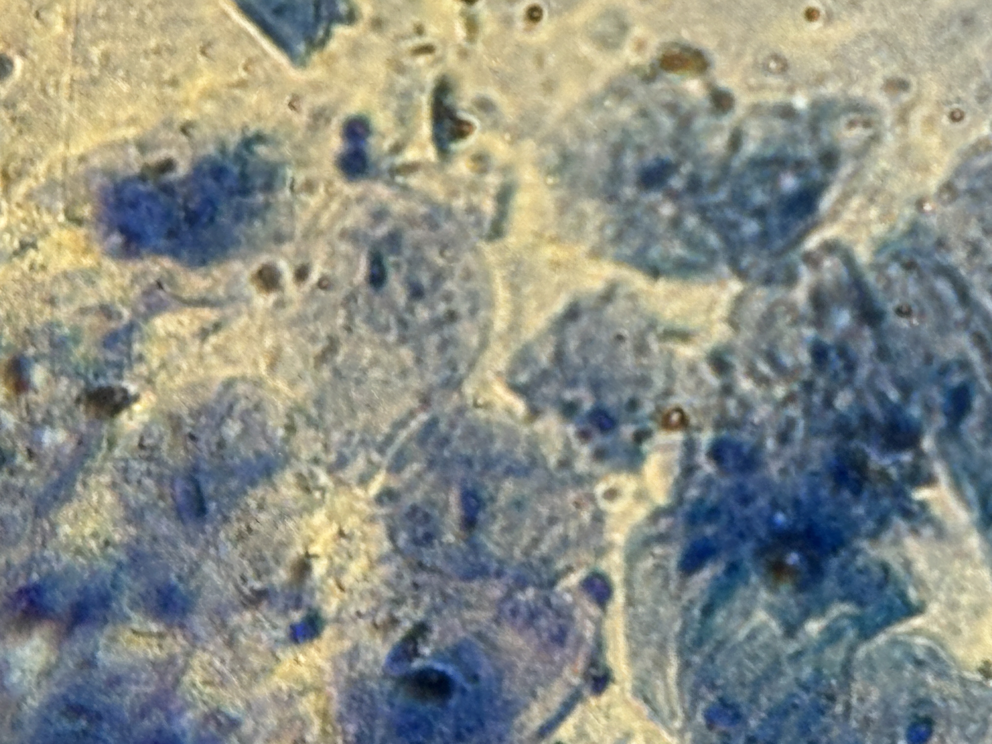 images%2F8Yi896oa53USpBdodktyyatmY943%2F8ey4EwcARFBYRvV39SVh%2F04bbe4df-029e-46d4-985e-344e0dc0b7c5.jpg?alt=media&token=a0f8fd4c-f222-48c0-ab82-d31a0704afa3